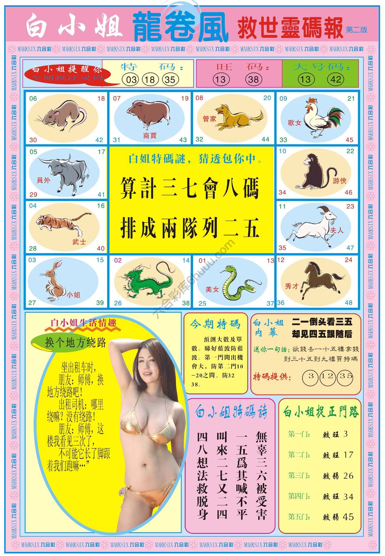 白小姐救世灵码报