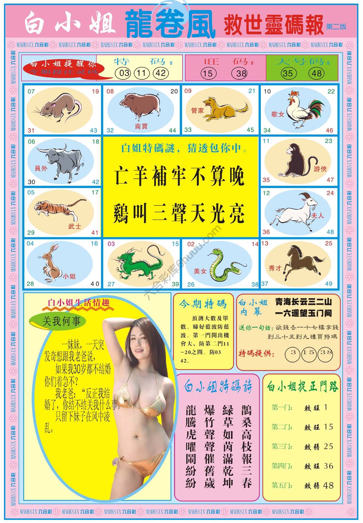 白小姐救世灵码报