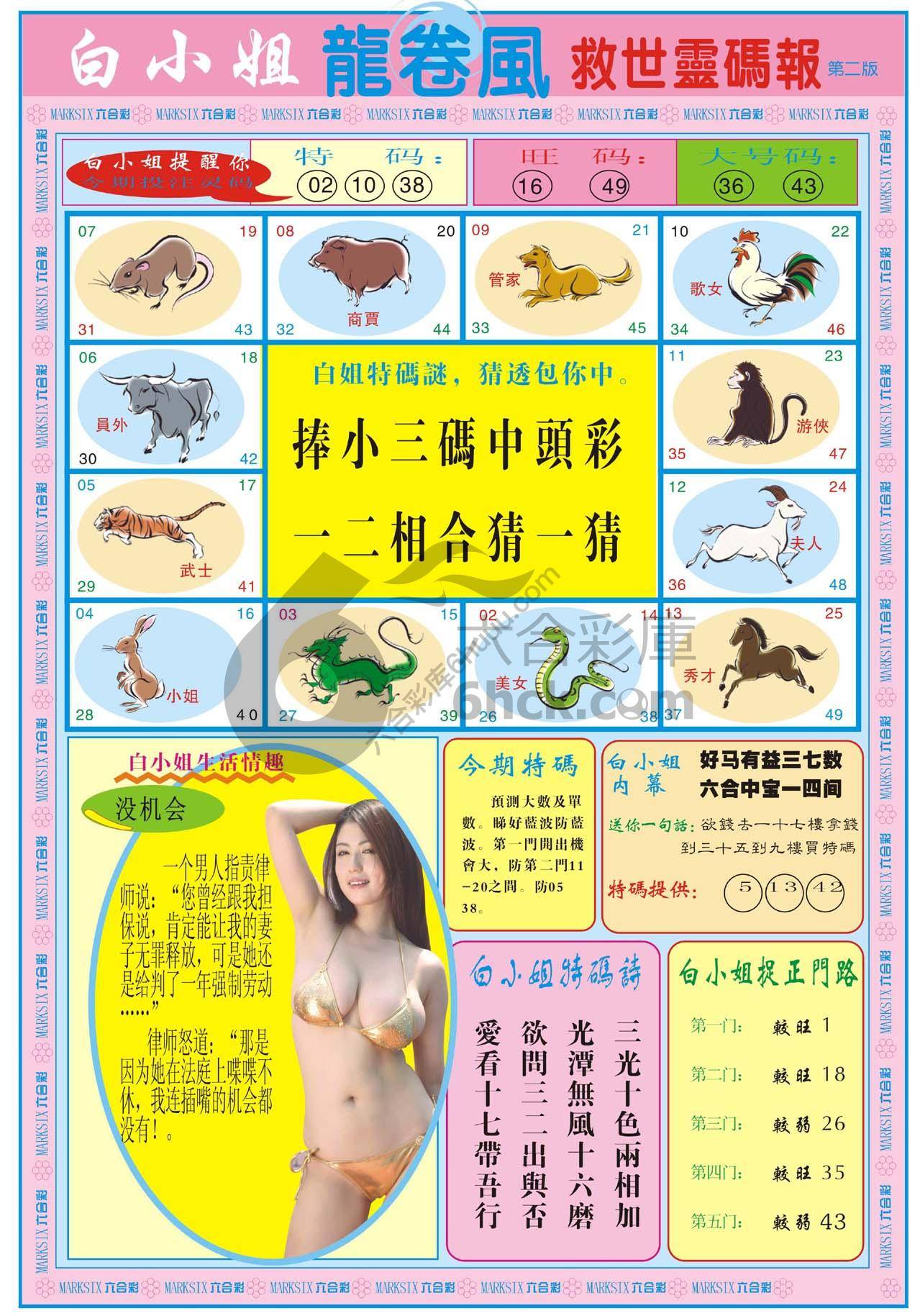 白小姐救世灵码报