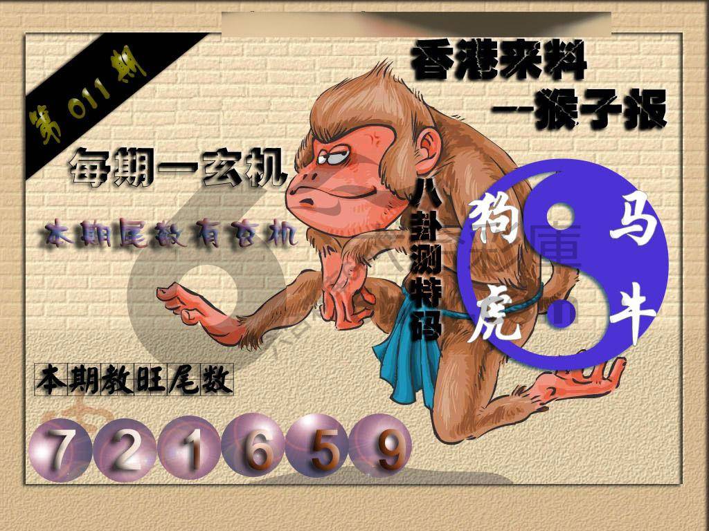 猴子报