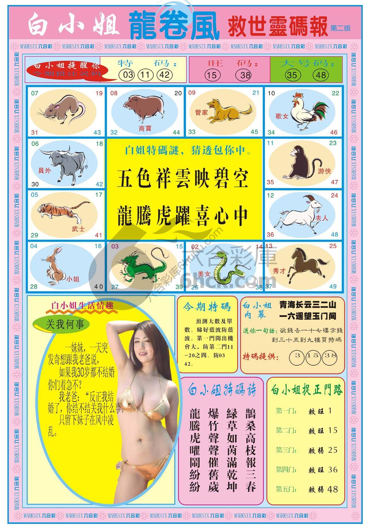 白小姐救世灵码报