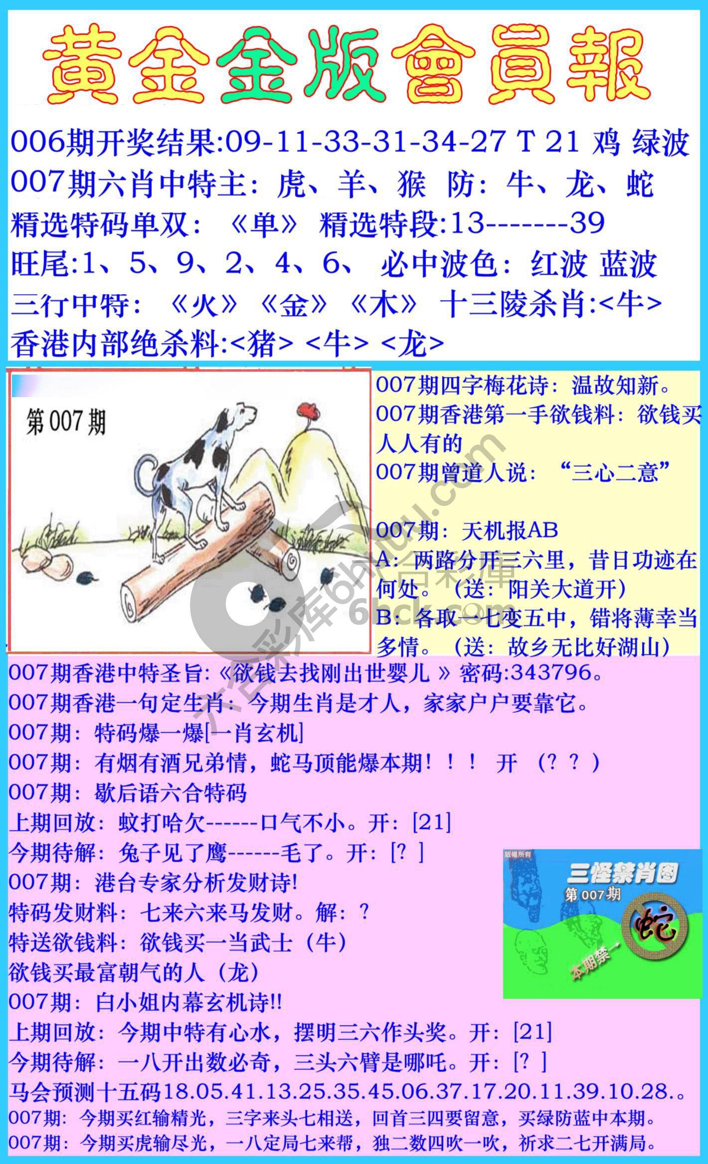 黄金金版会员报