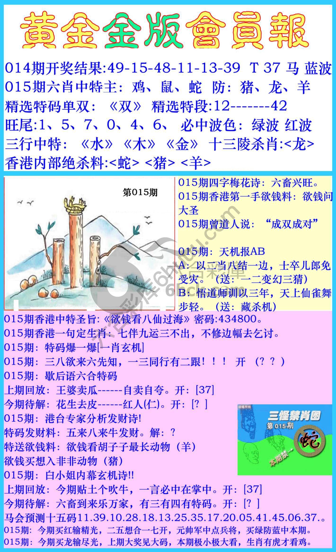 黄金金版会员报