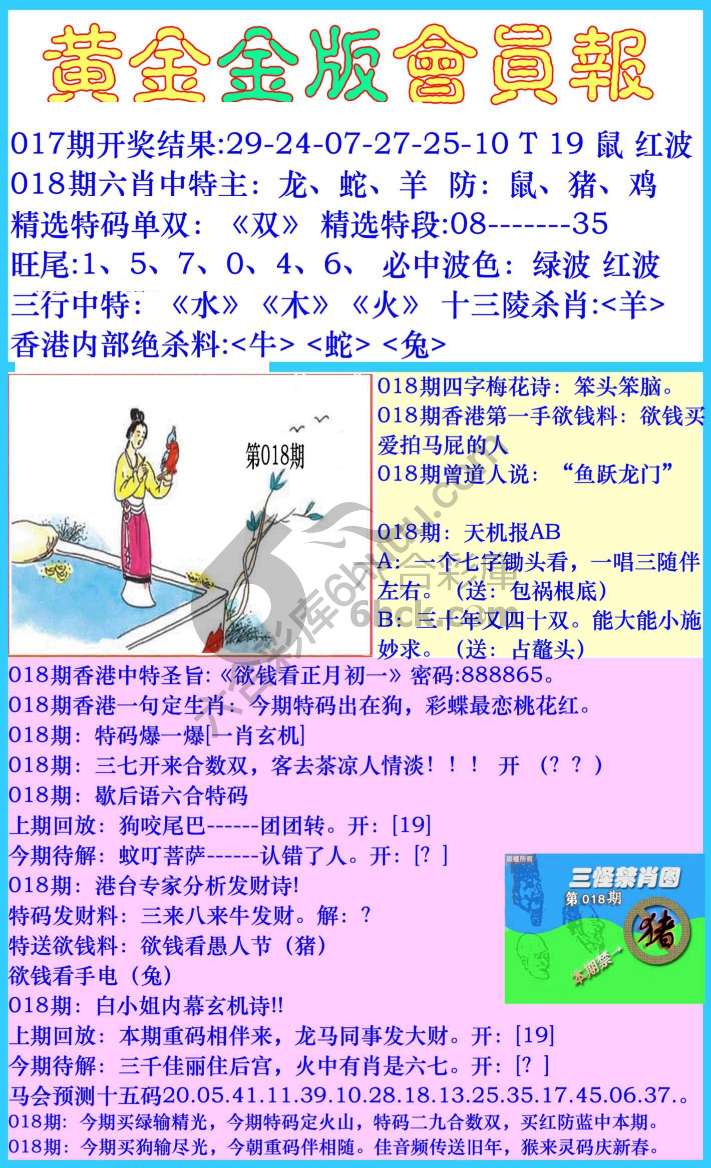 黄金金版会员报