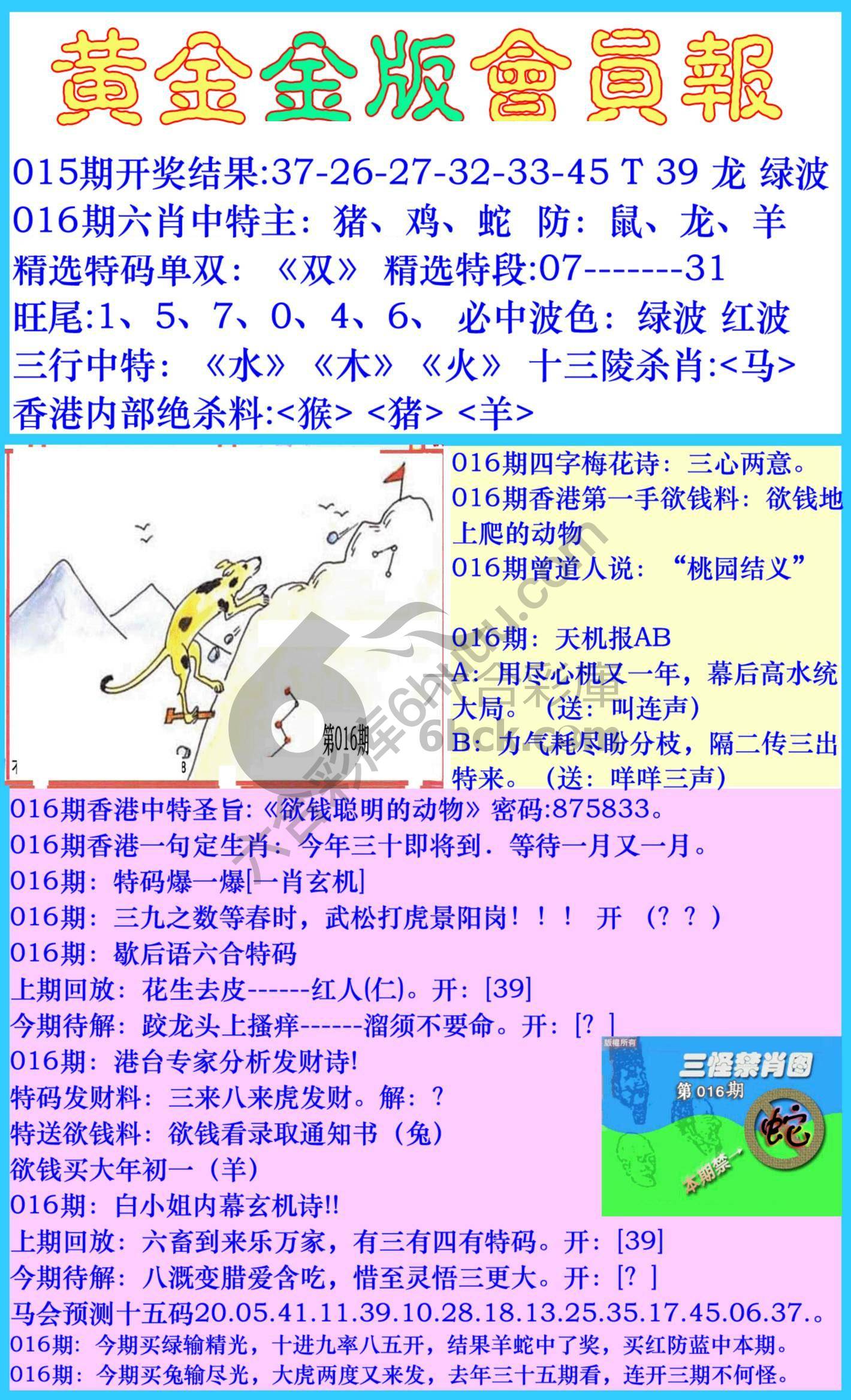 黄金金版会员报