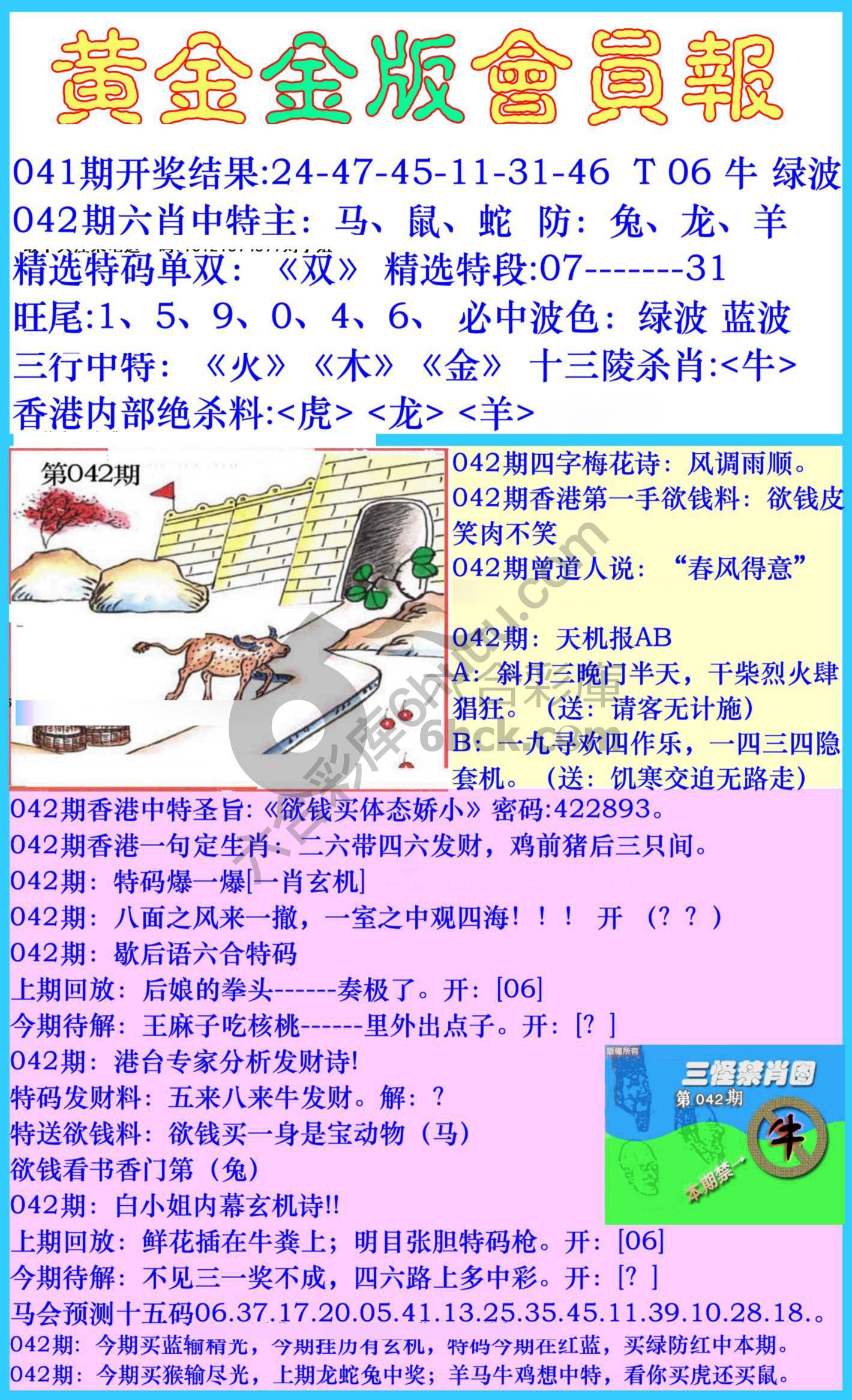 黄金金版会员报