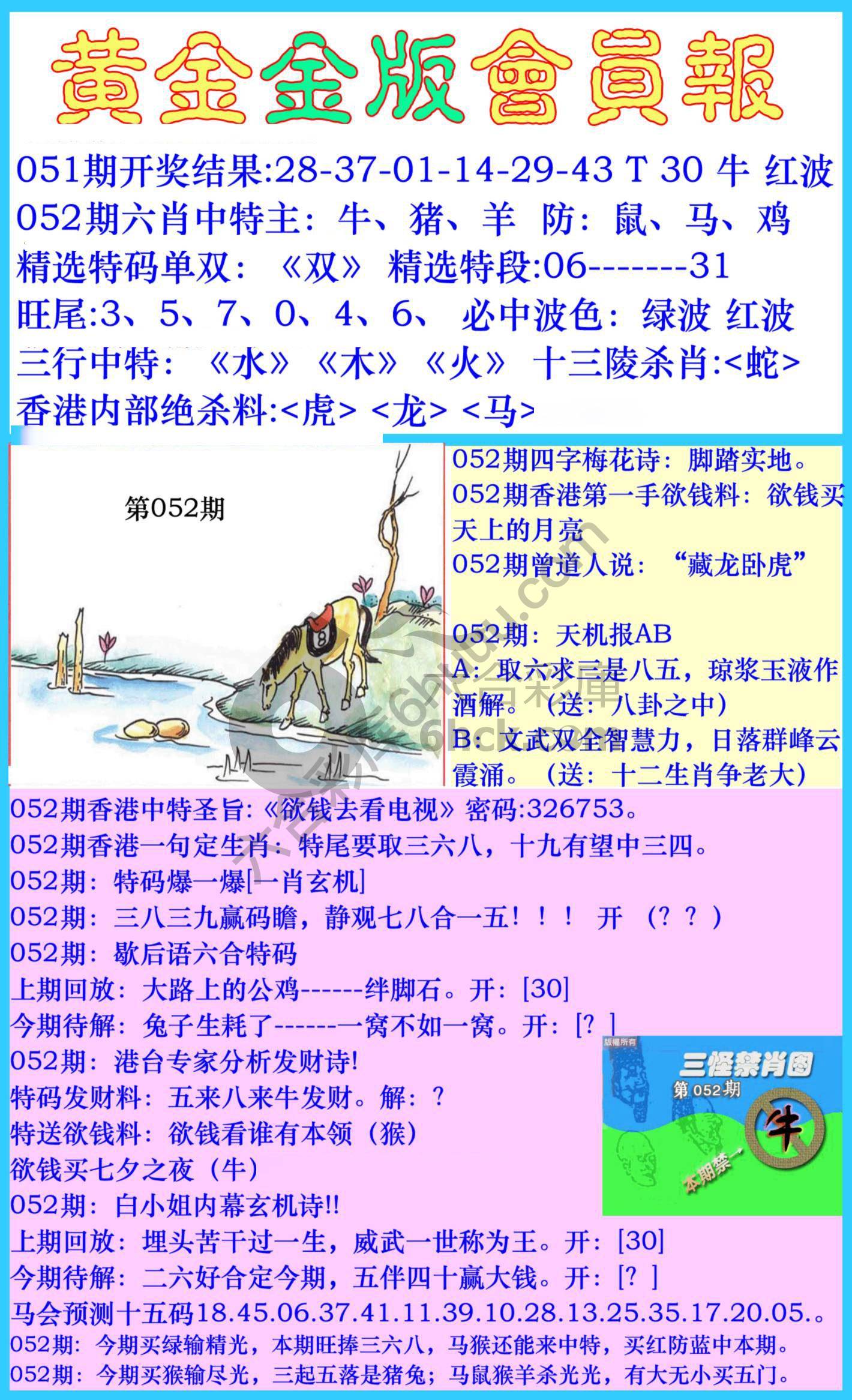 黄金金版会员报