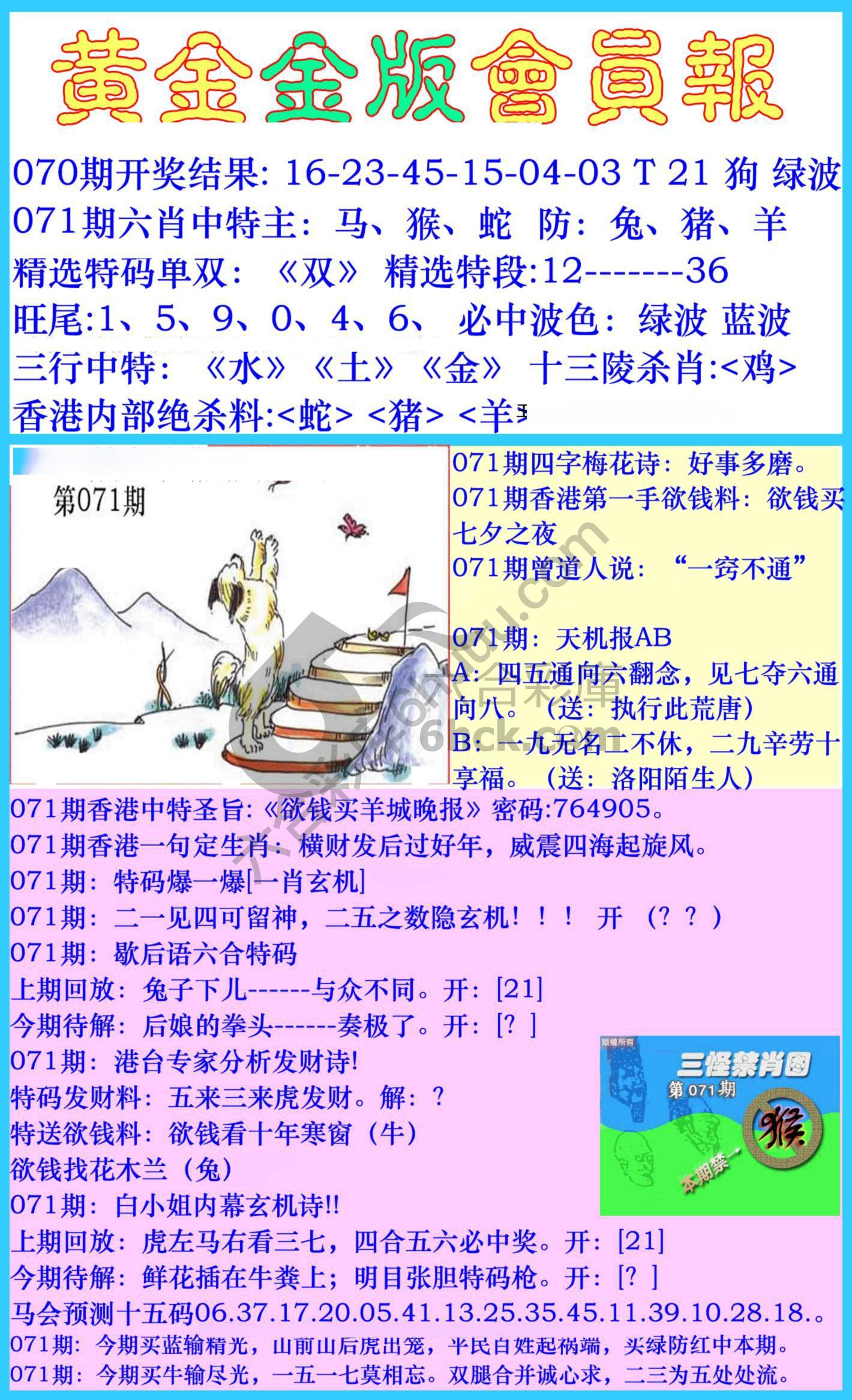 黄金金版会员报