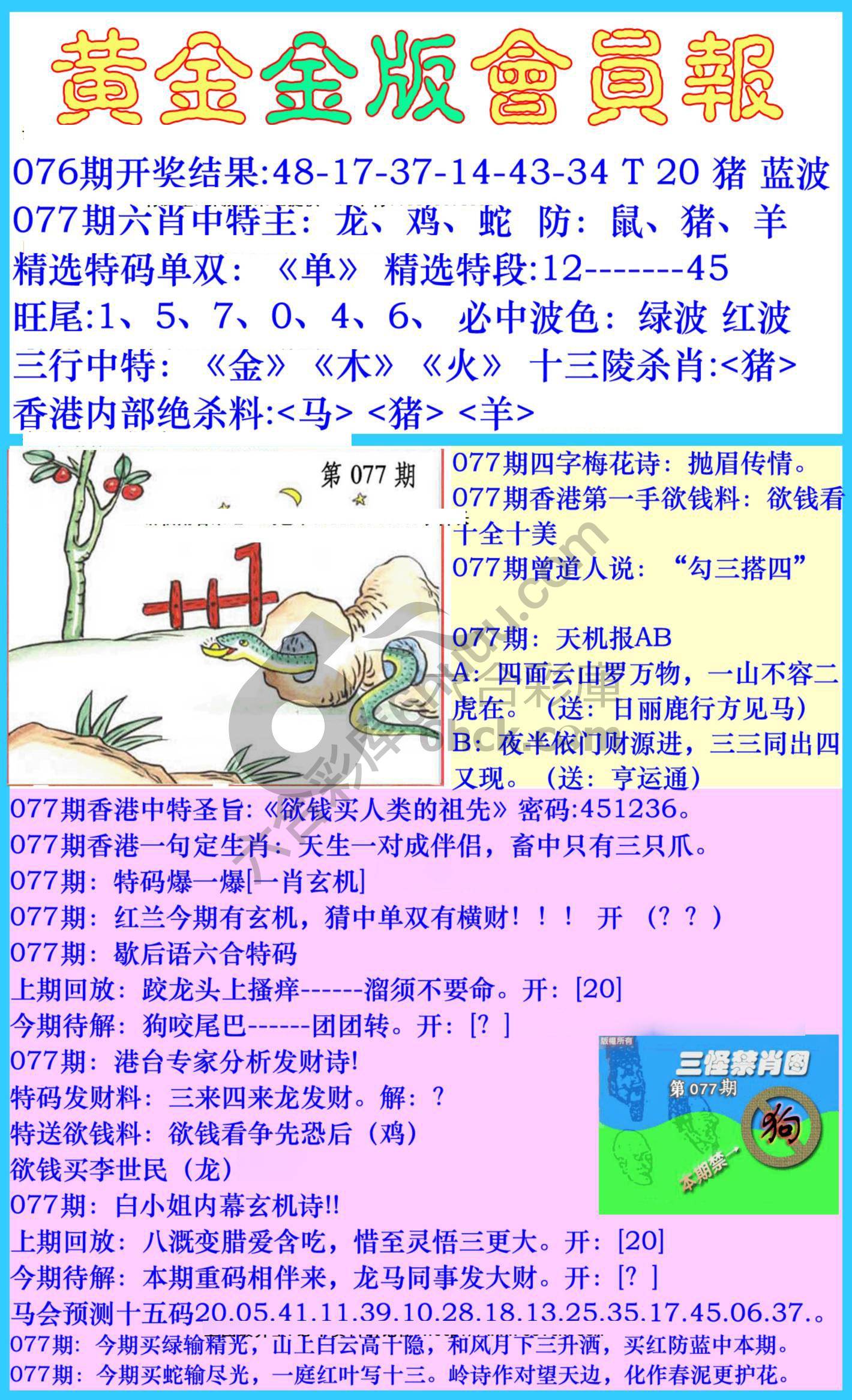 黄金金版会员报