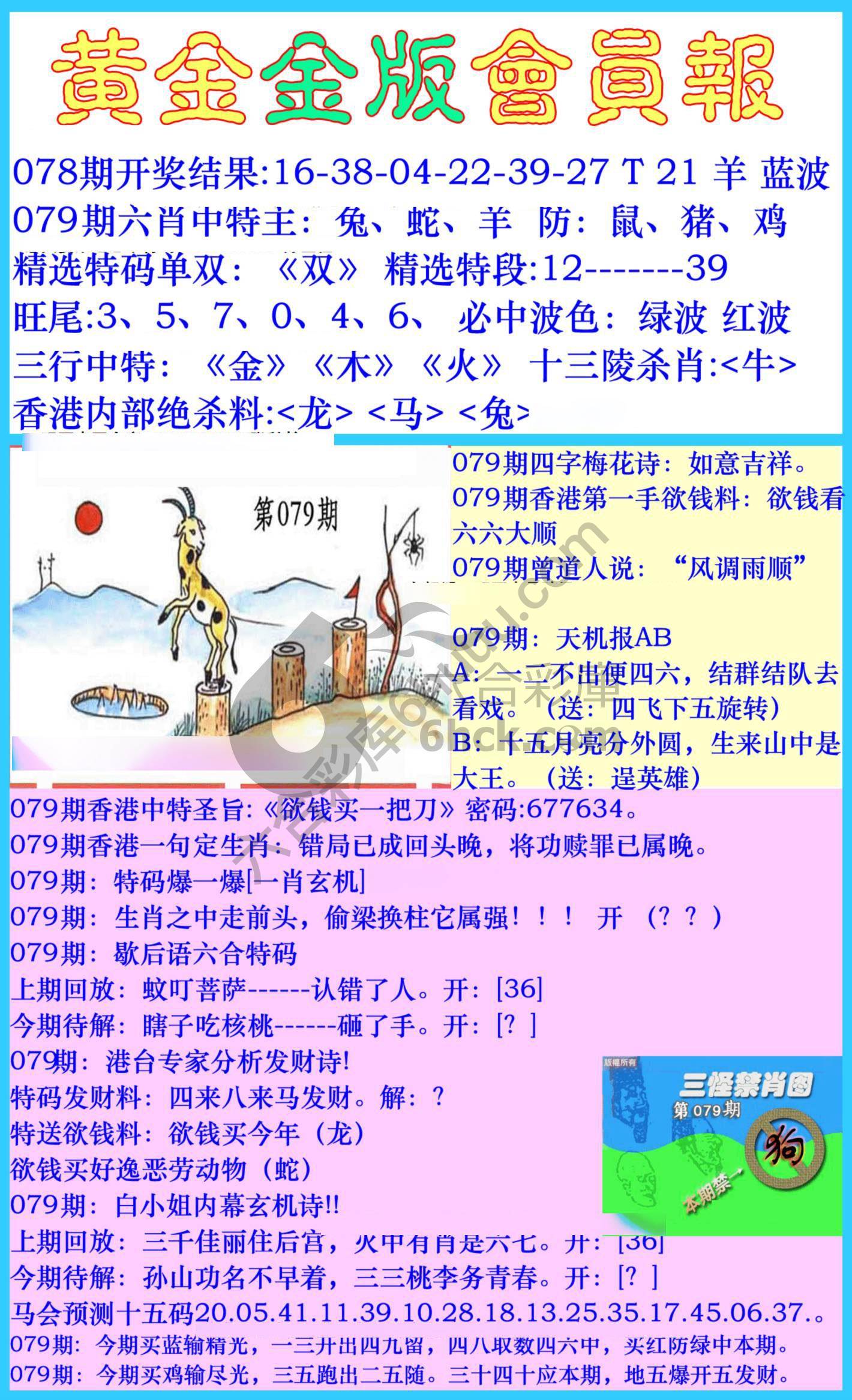 黄金金版会员报