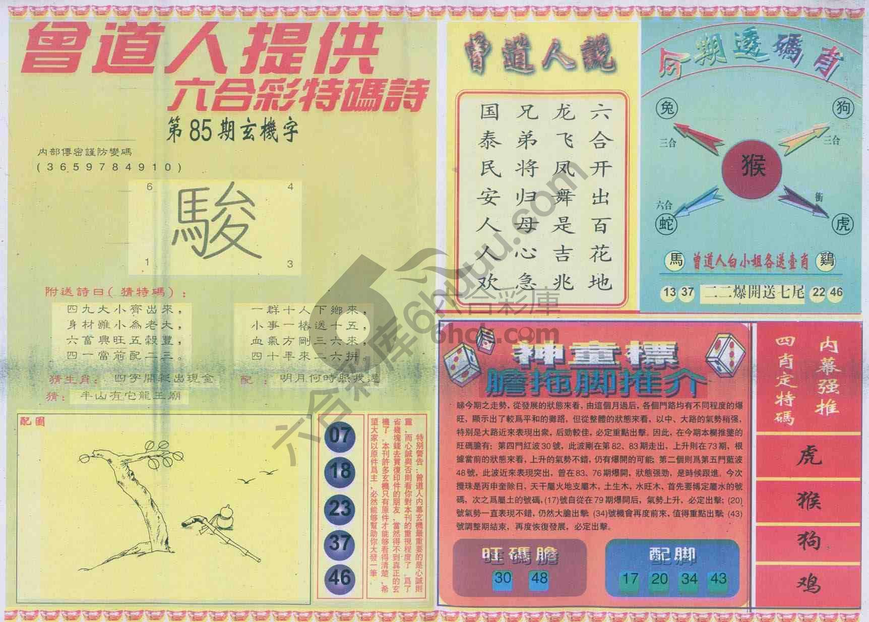 曾道人内幕玄机