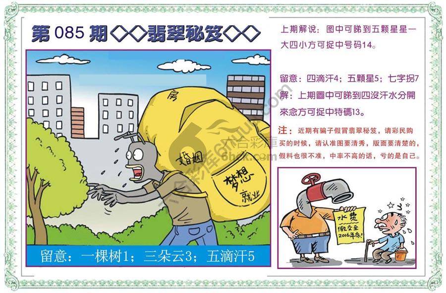 富婆翡翠秘籍图