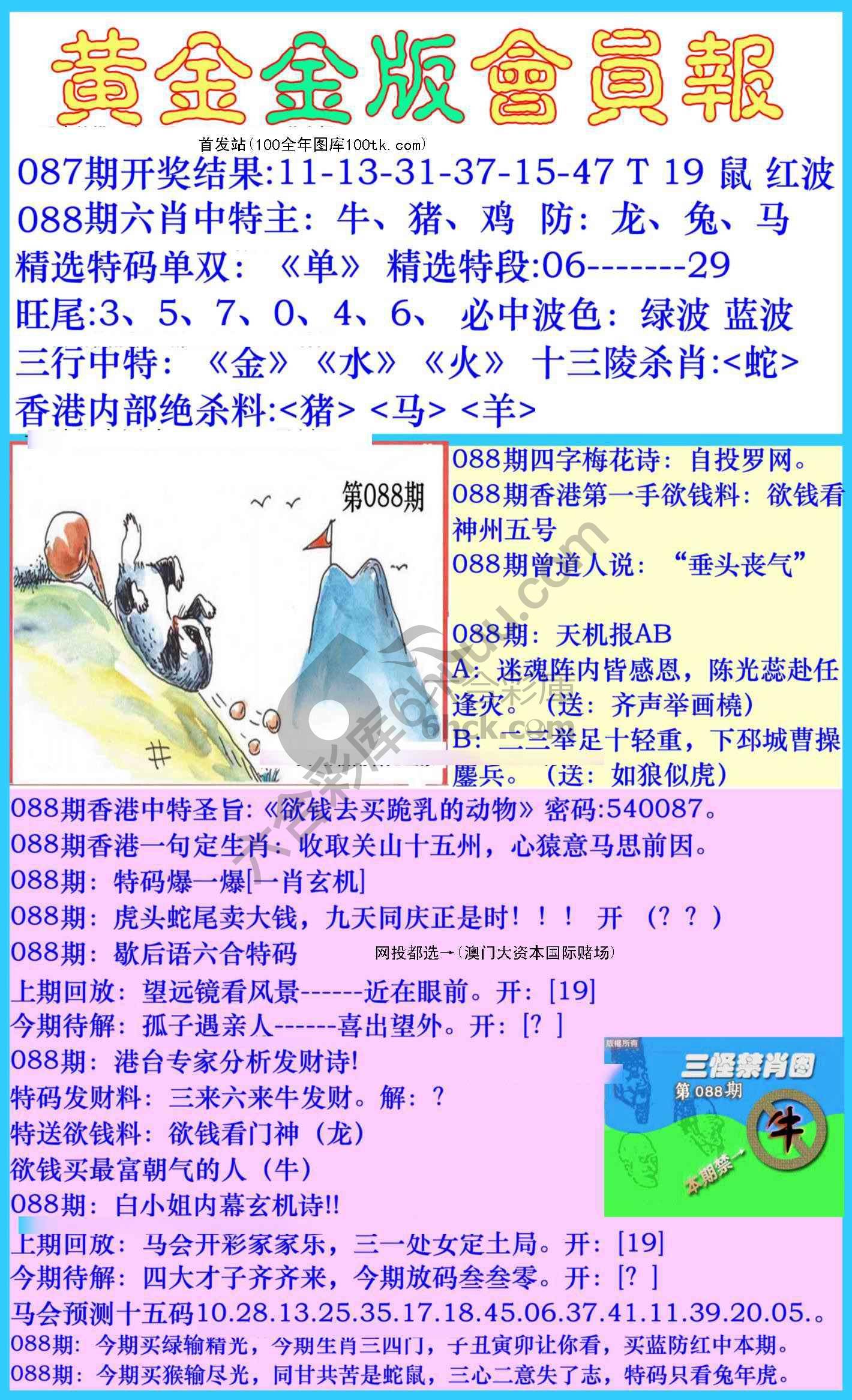 黄金金版会员报