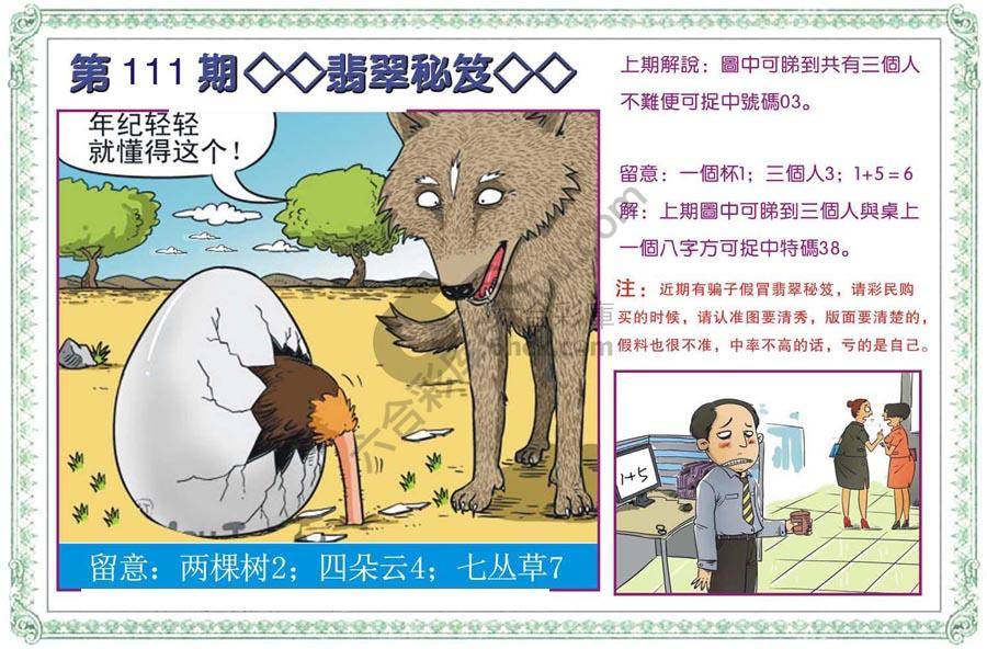 富婆翡翠秘籍图