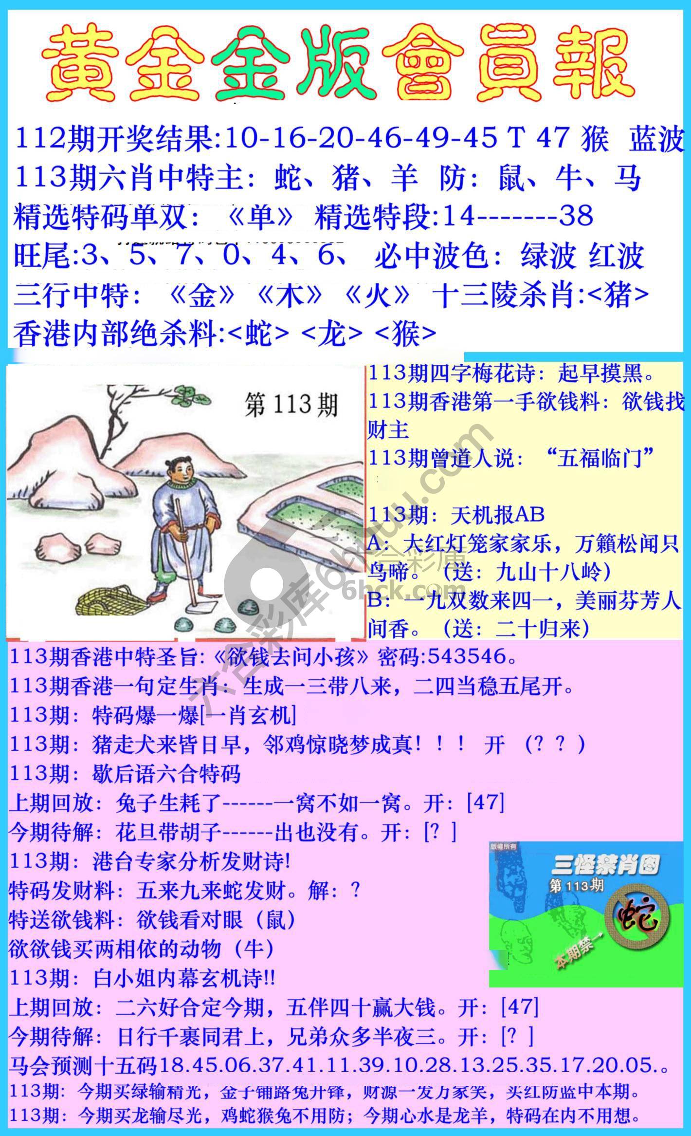 黄金金版会员报