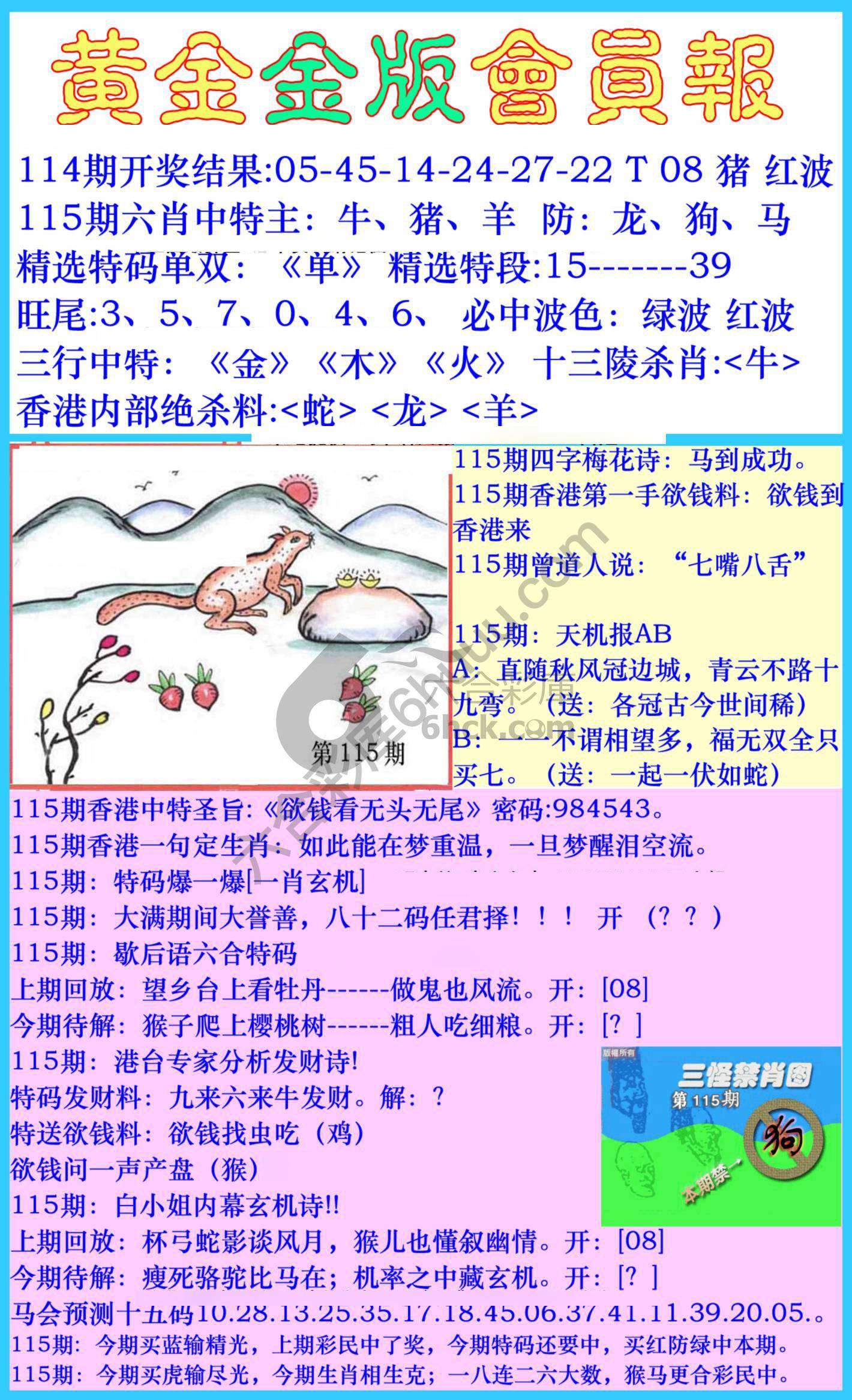 黄金金版会员报