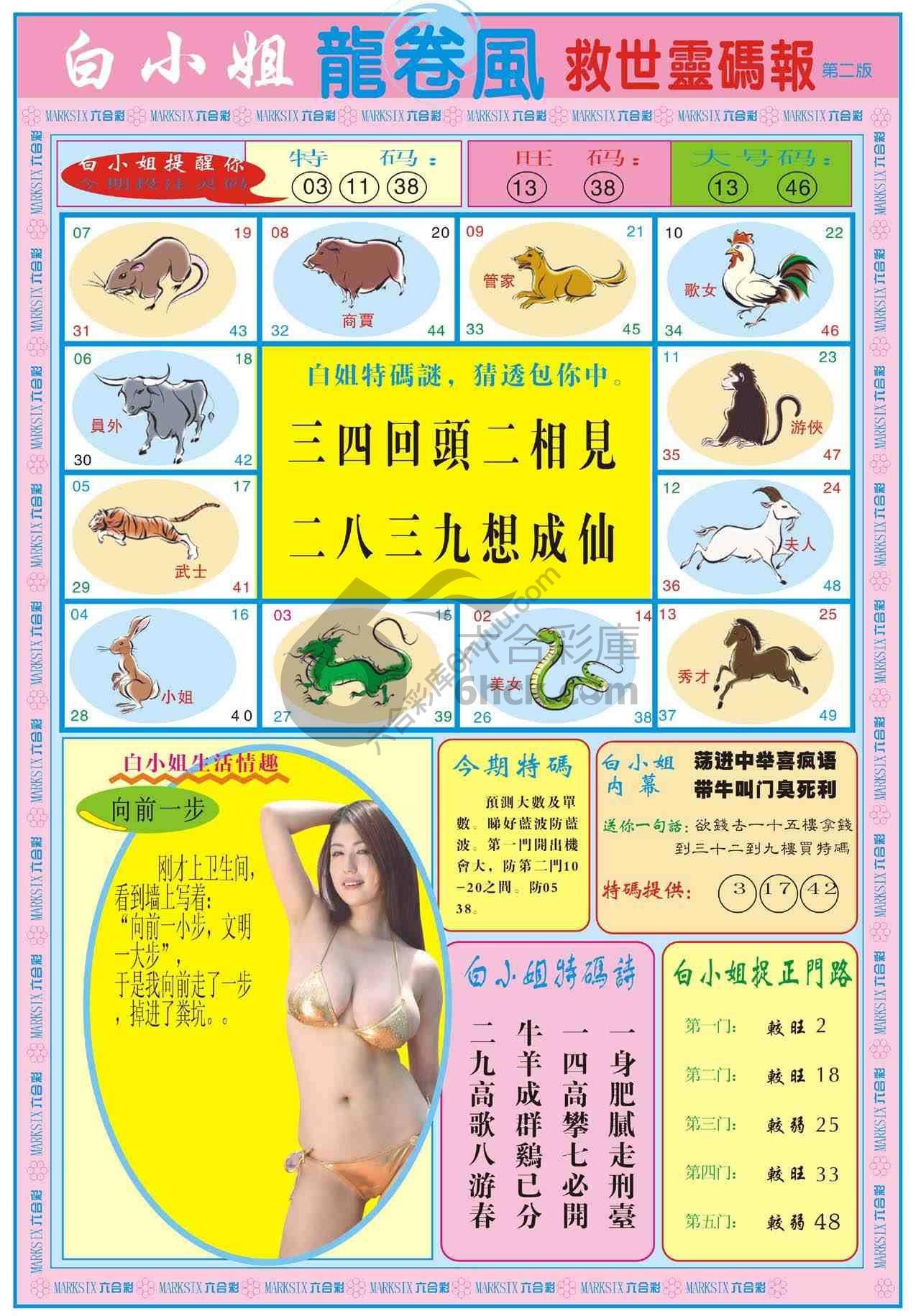 白小姐救世灵码报