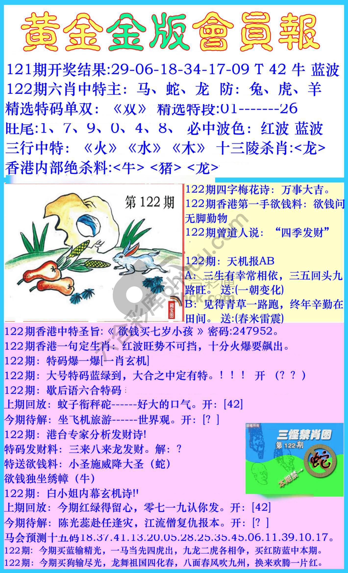 黄金金版会员报