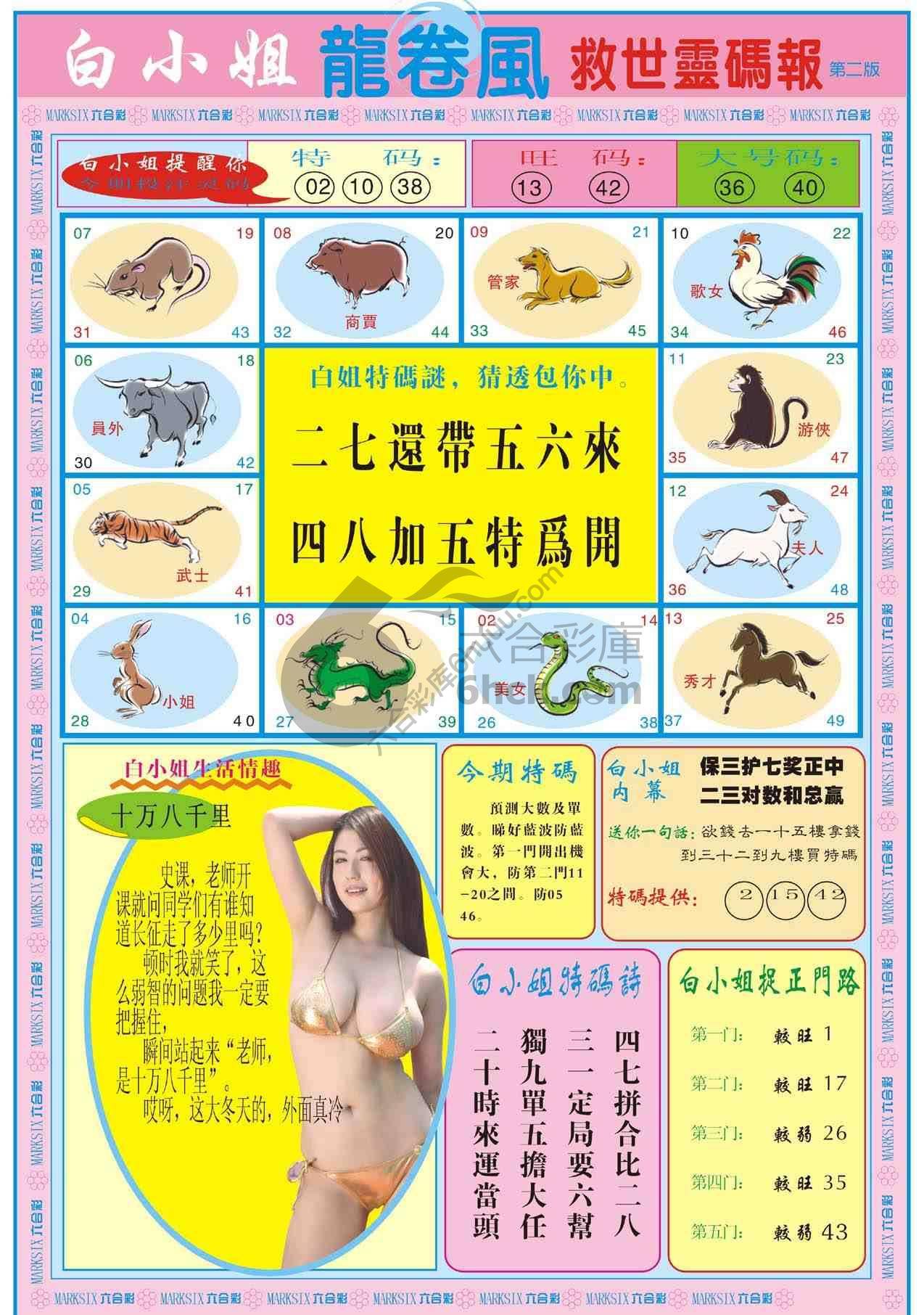 白小姐救世灵码报