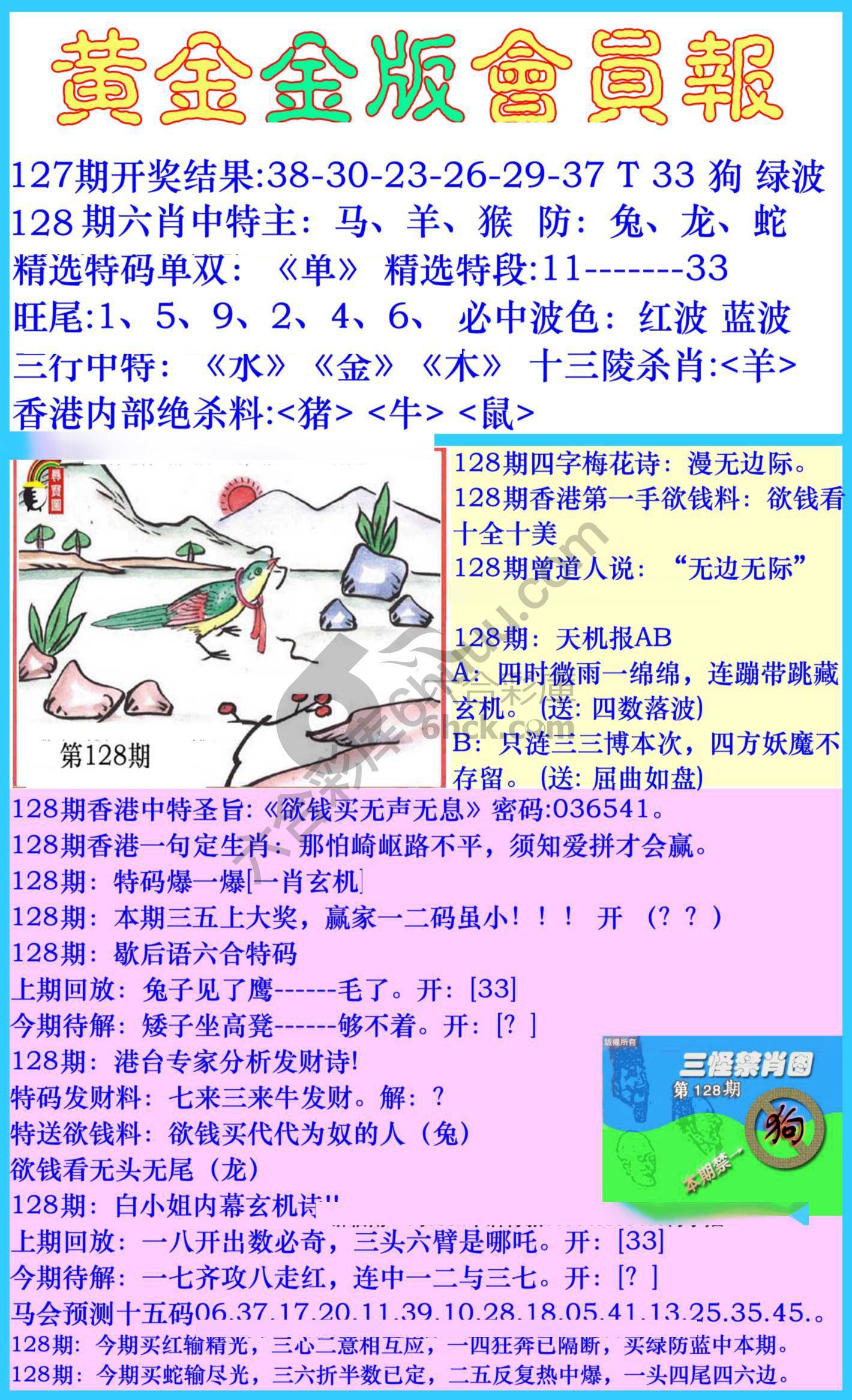 黄金金版会员报