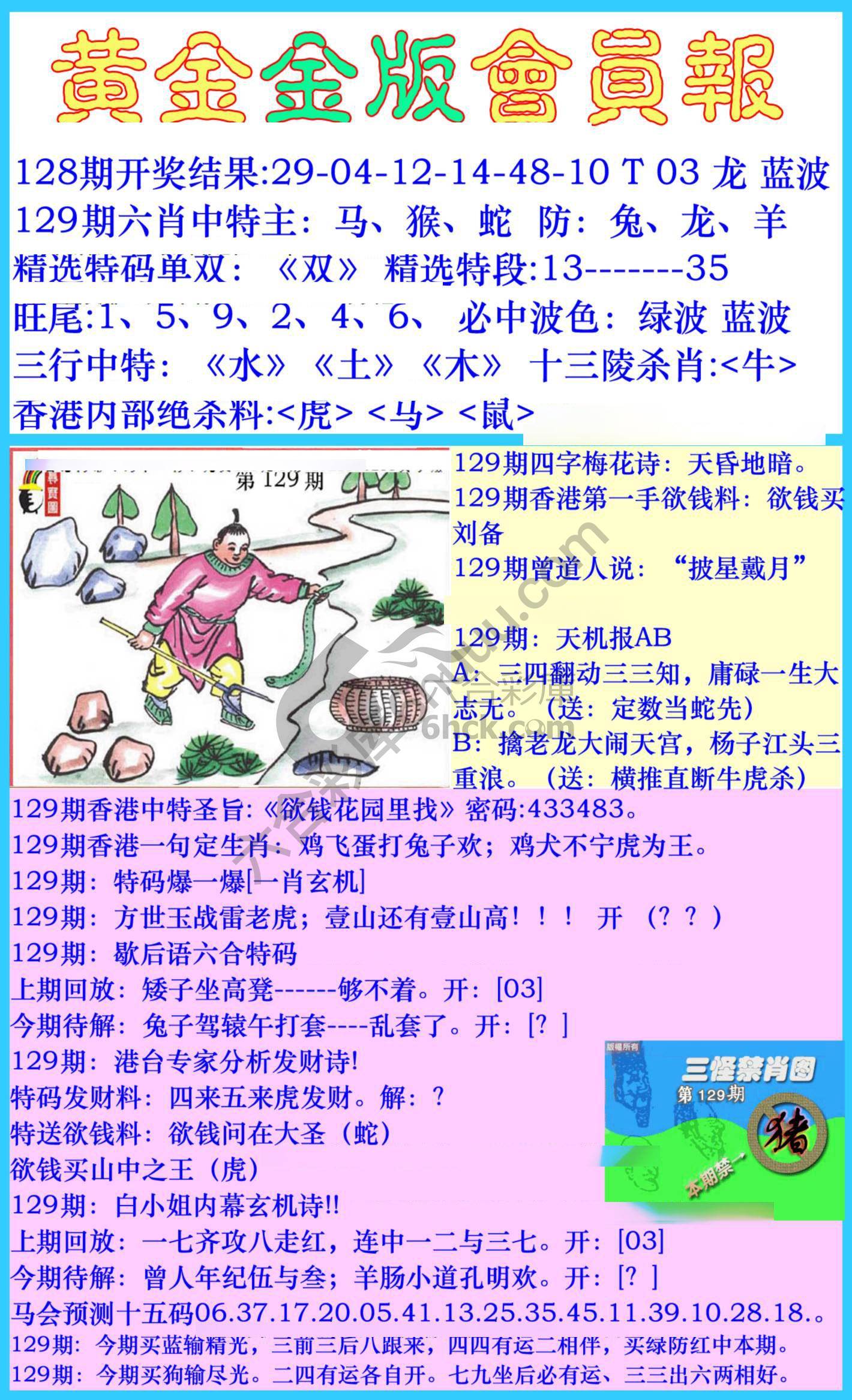 黄金金版会员报