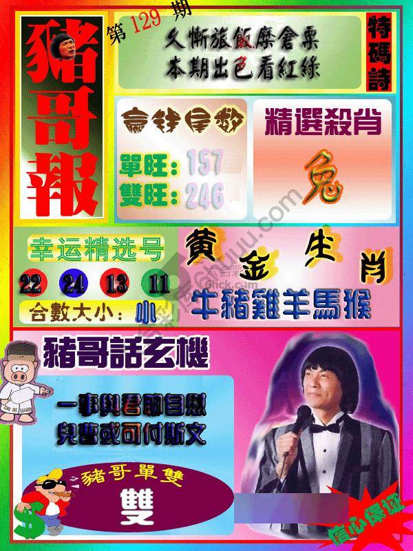 猪哥报