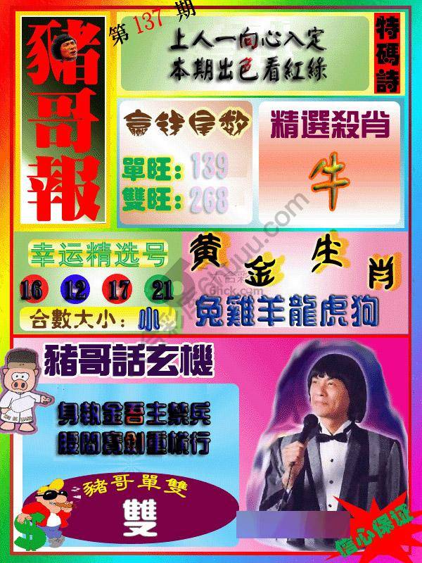 猪哥报