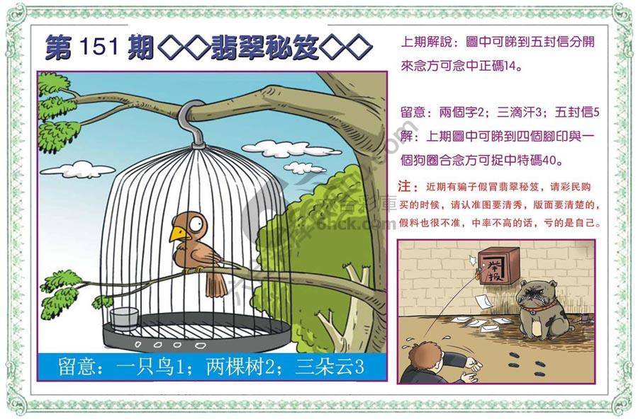 富婆翡翠秘籍图