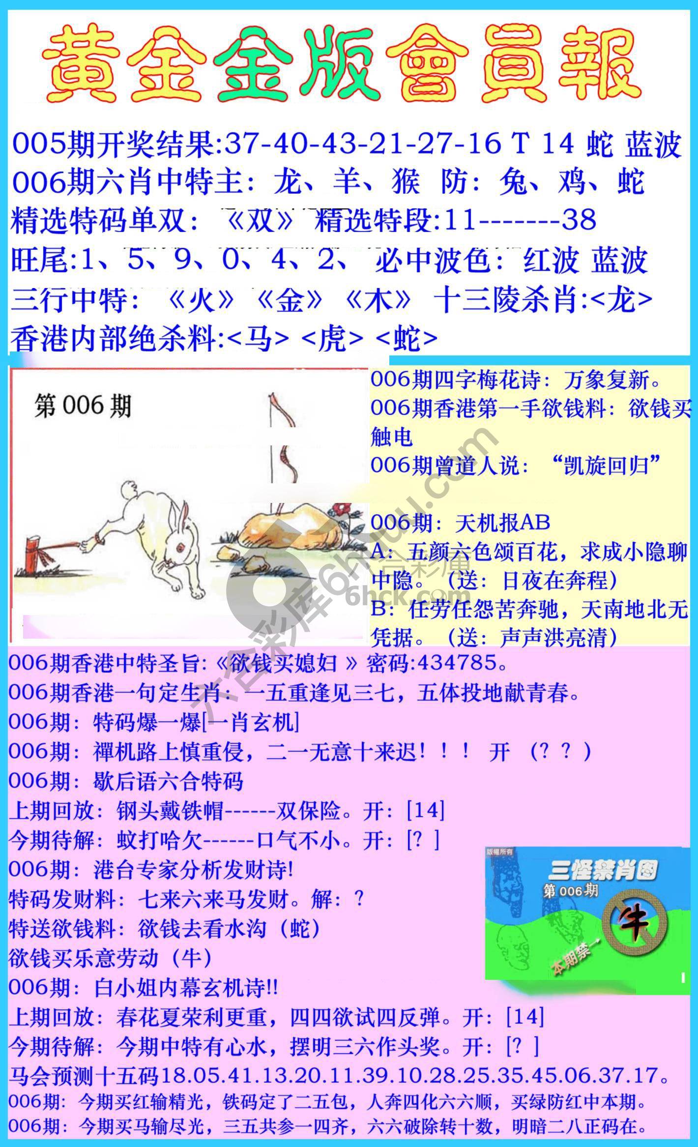 黄金金版会员报