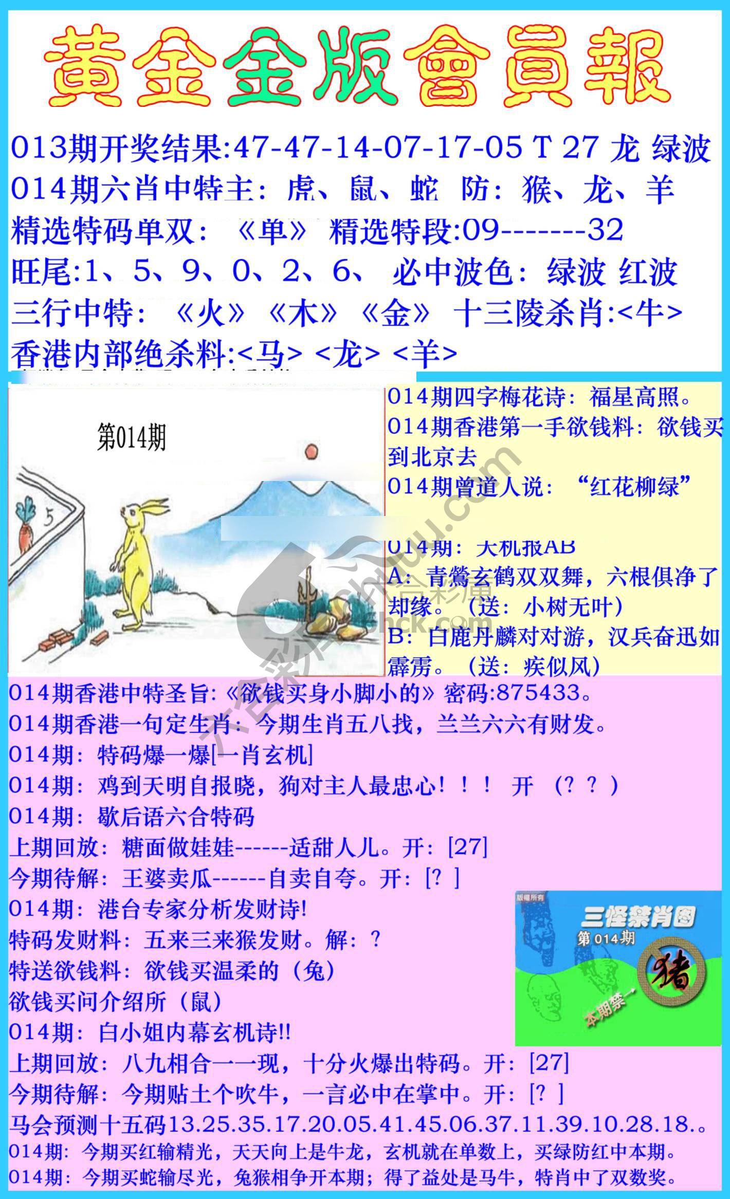 黄金金版会员报