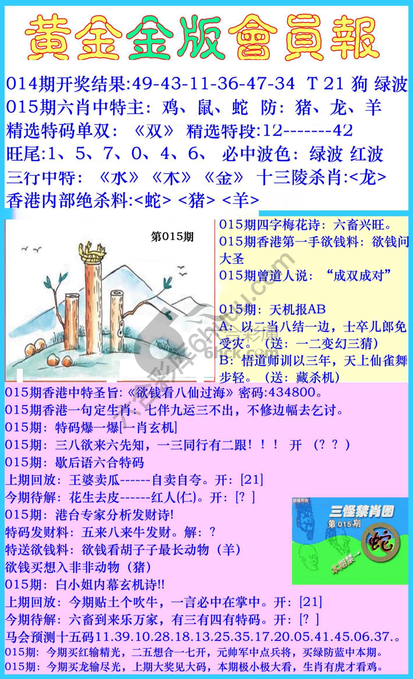 黄金金版会员报