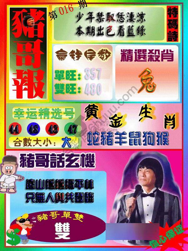 猪哥报