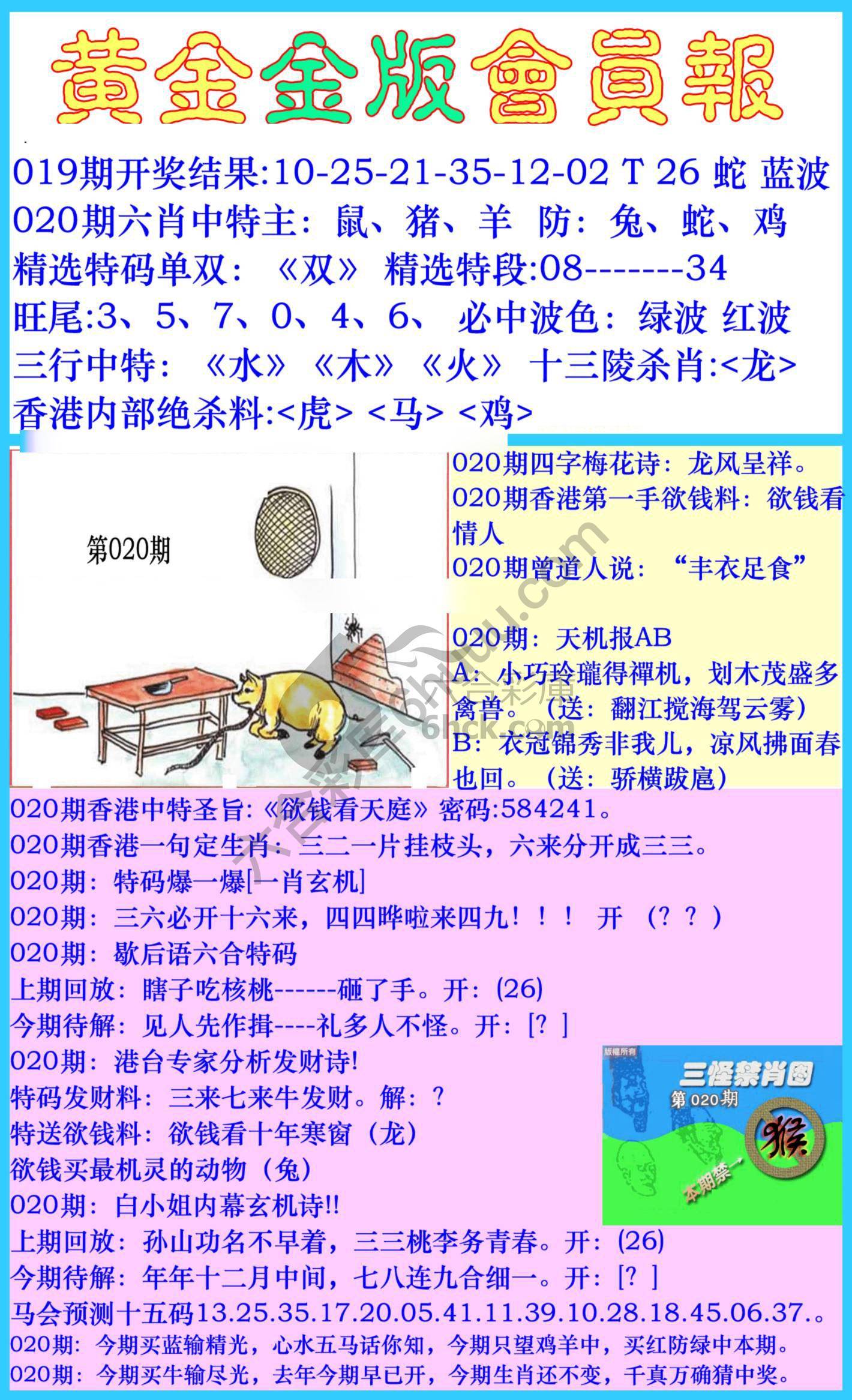 黄金金版会员报