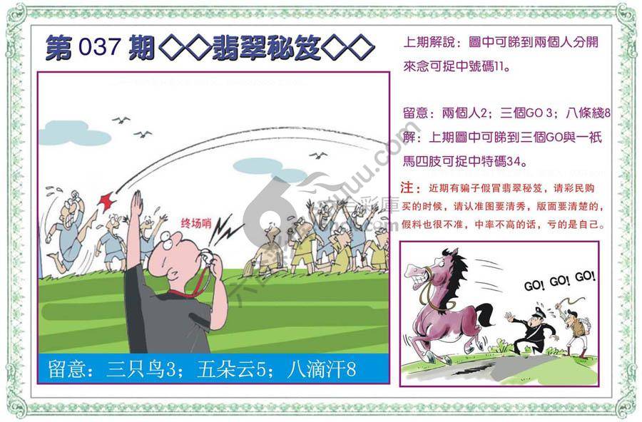 富婆翡翠秘籍图