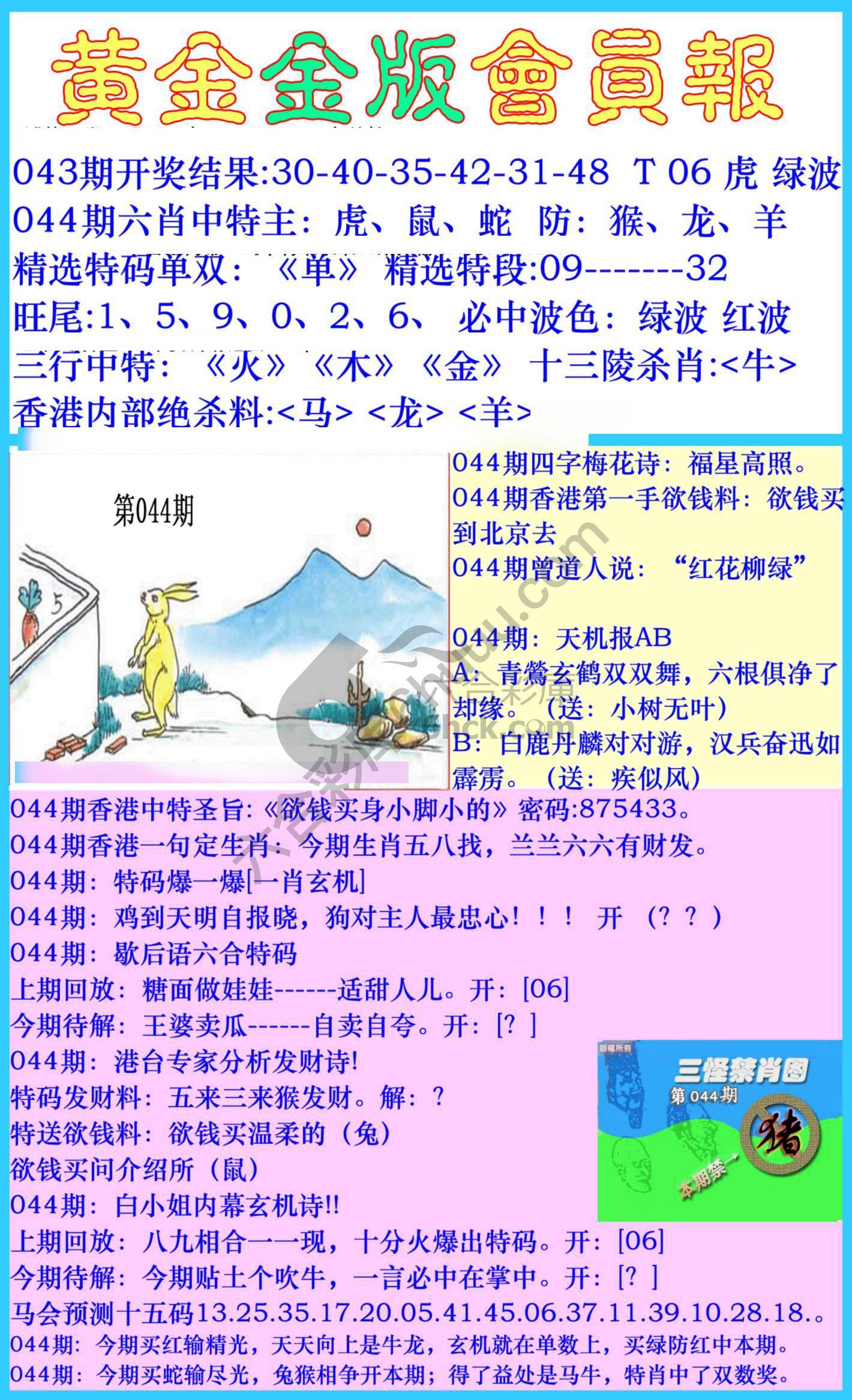 黄金金版会员报