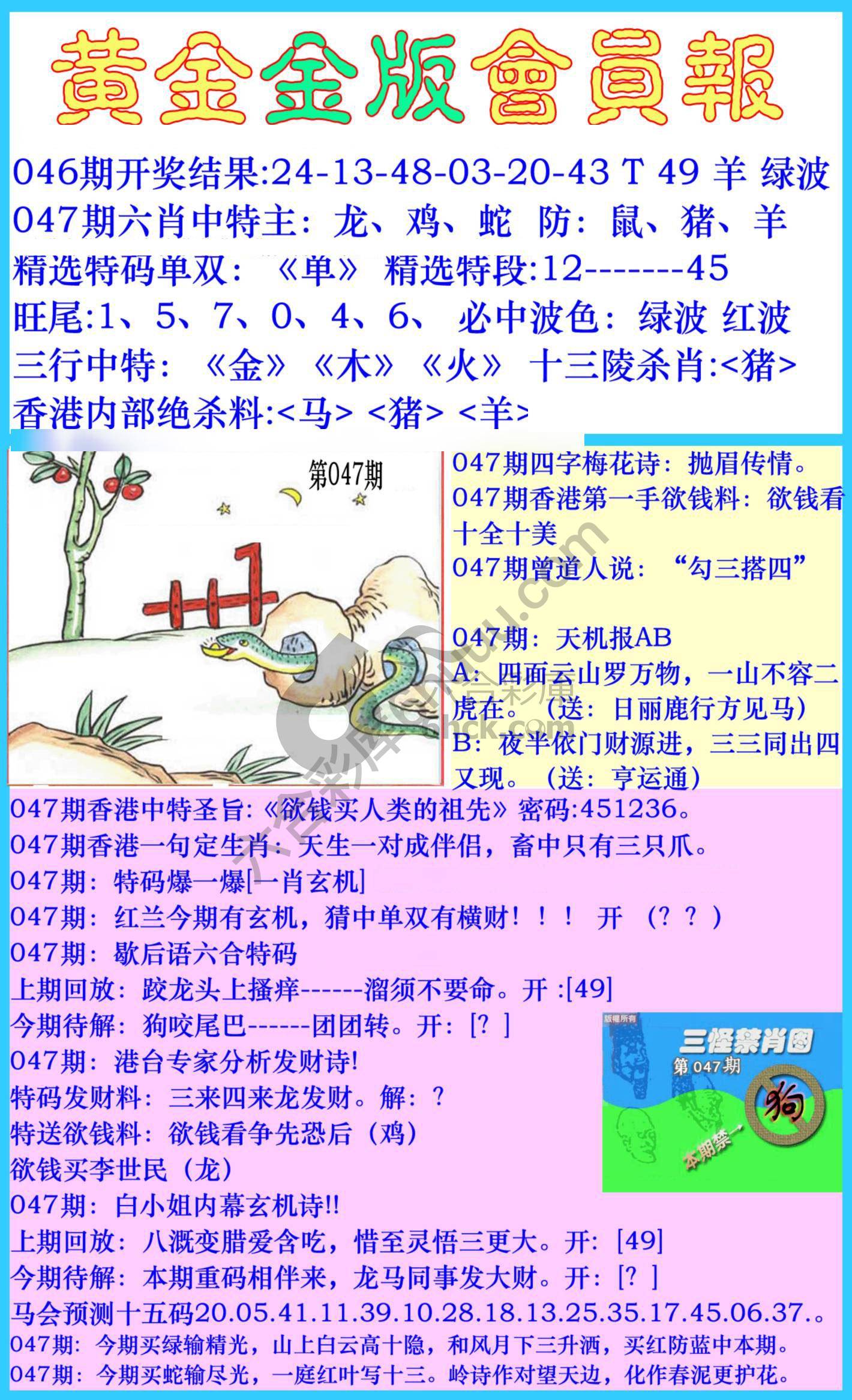 黄金金版会员报
