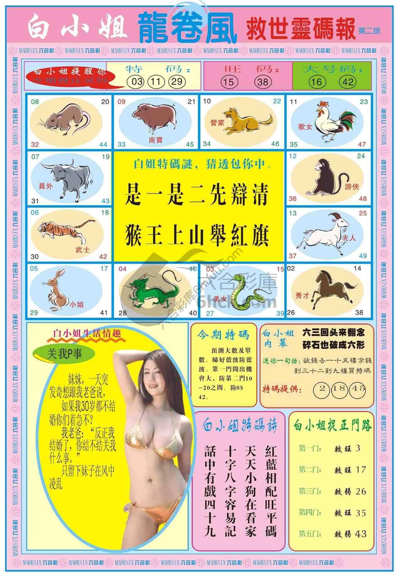 白小姐救世灵码报