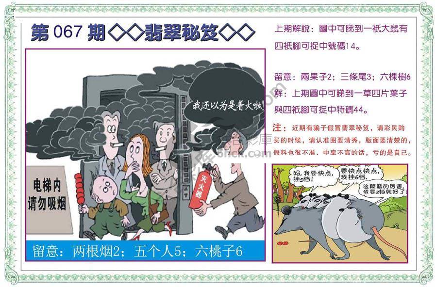 富婆翡翠秘籍图