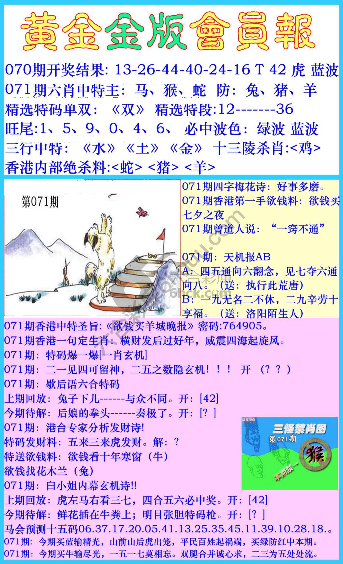 黄金金版会员报