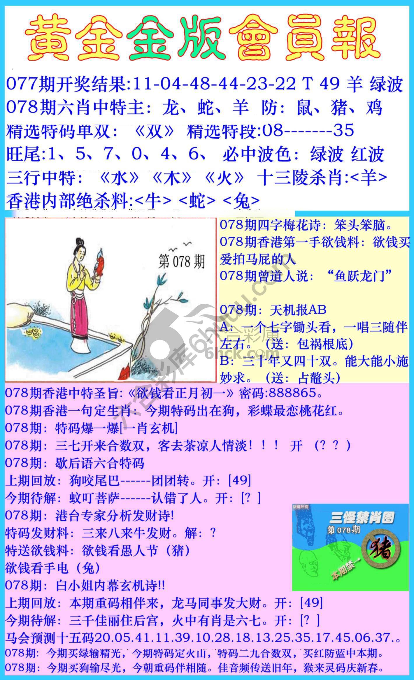 黄金金版会员报