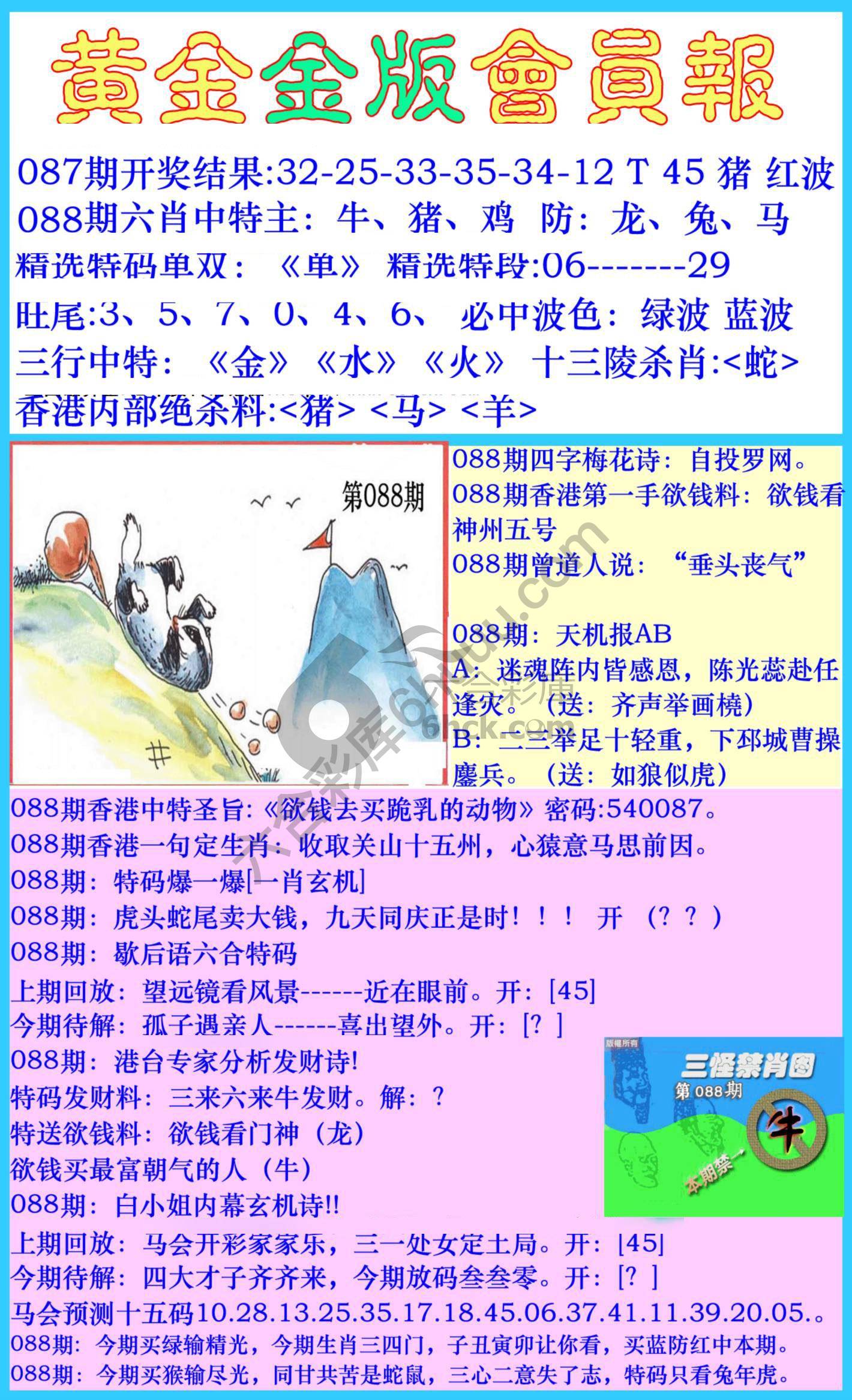 黄金金版会员报