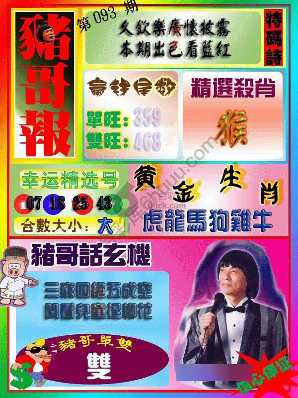 猪哥报