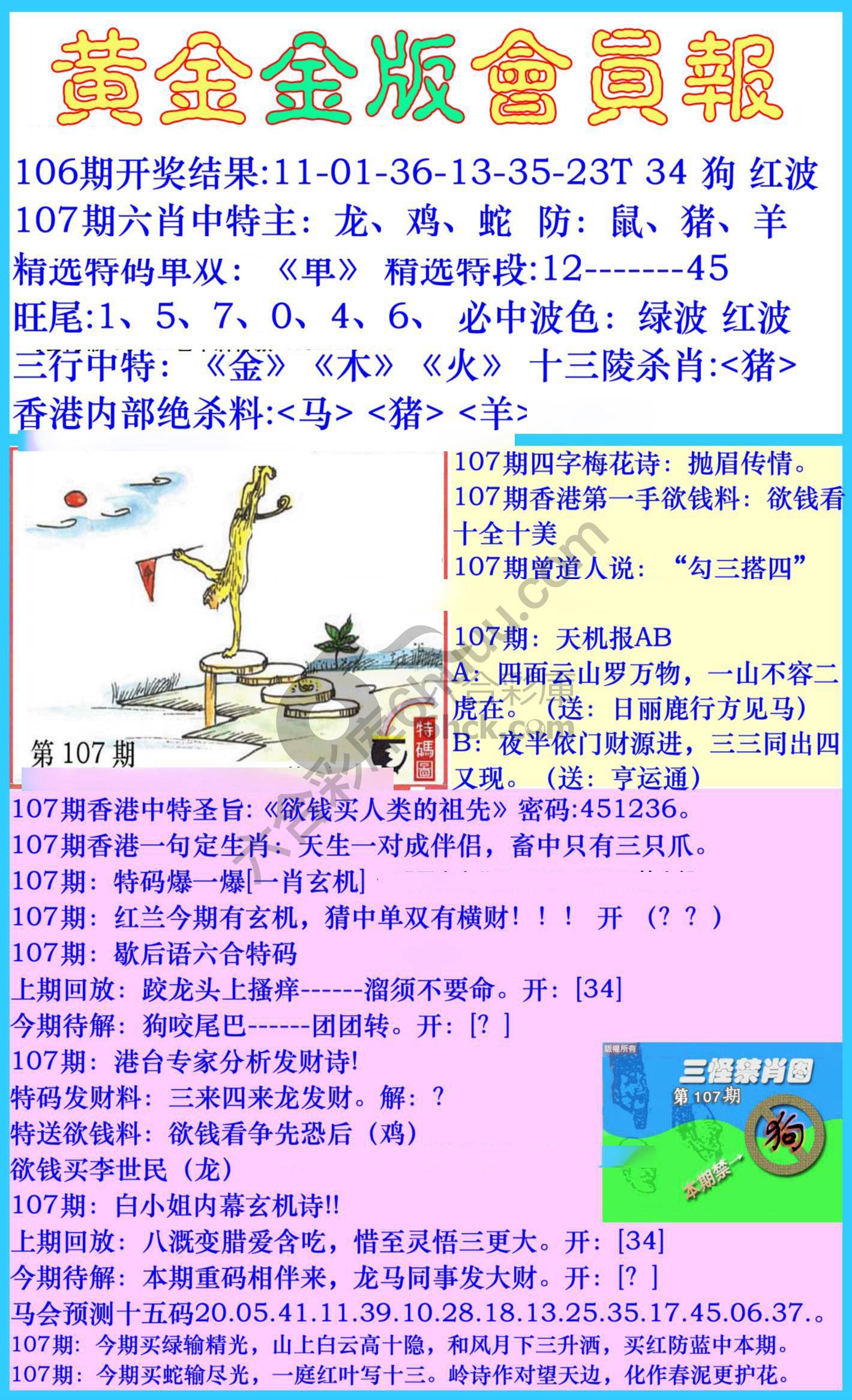 黄金金版会员报