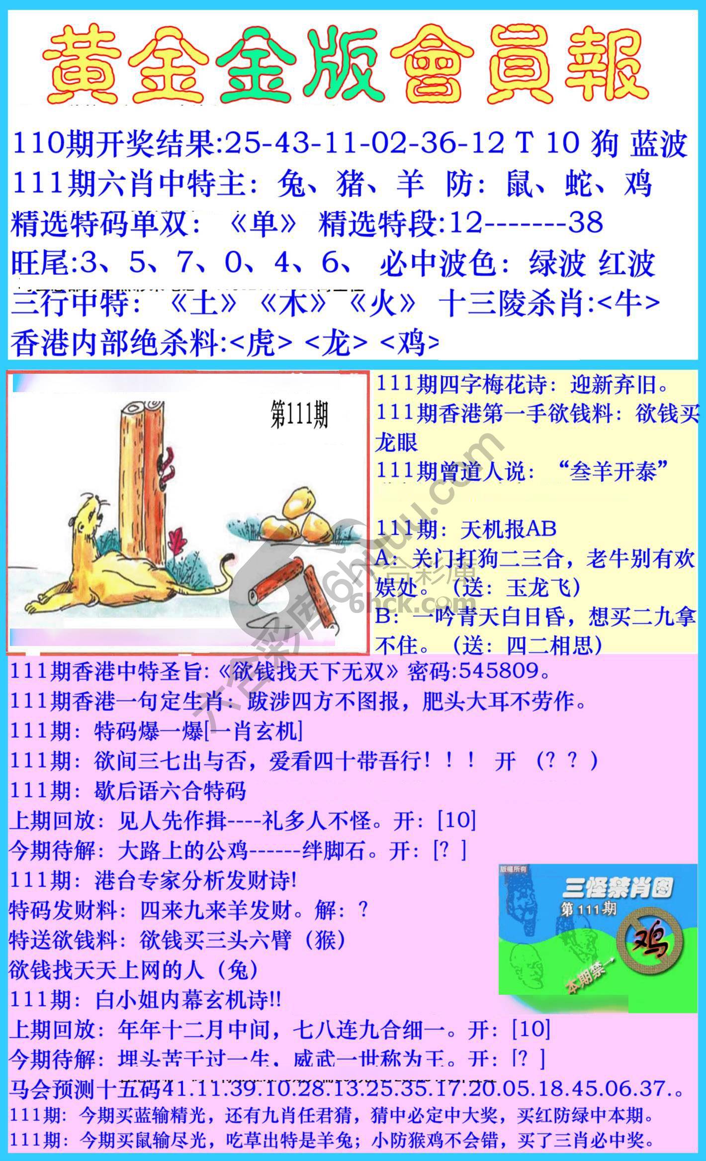 黄金金版会员报