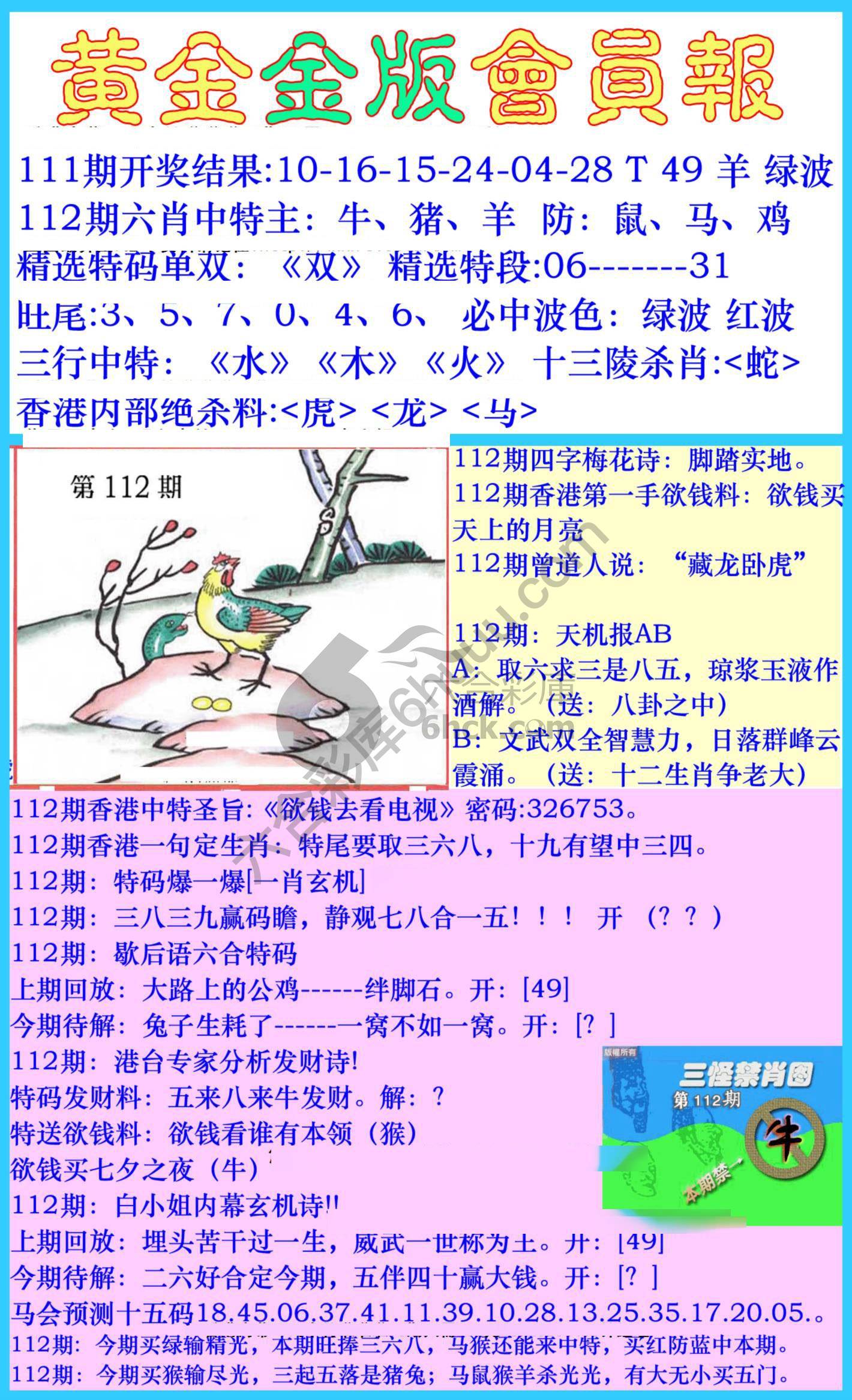 黄金金版会员报