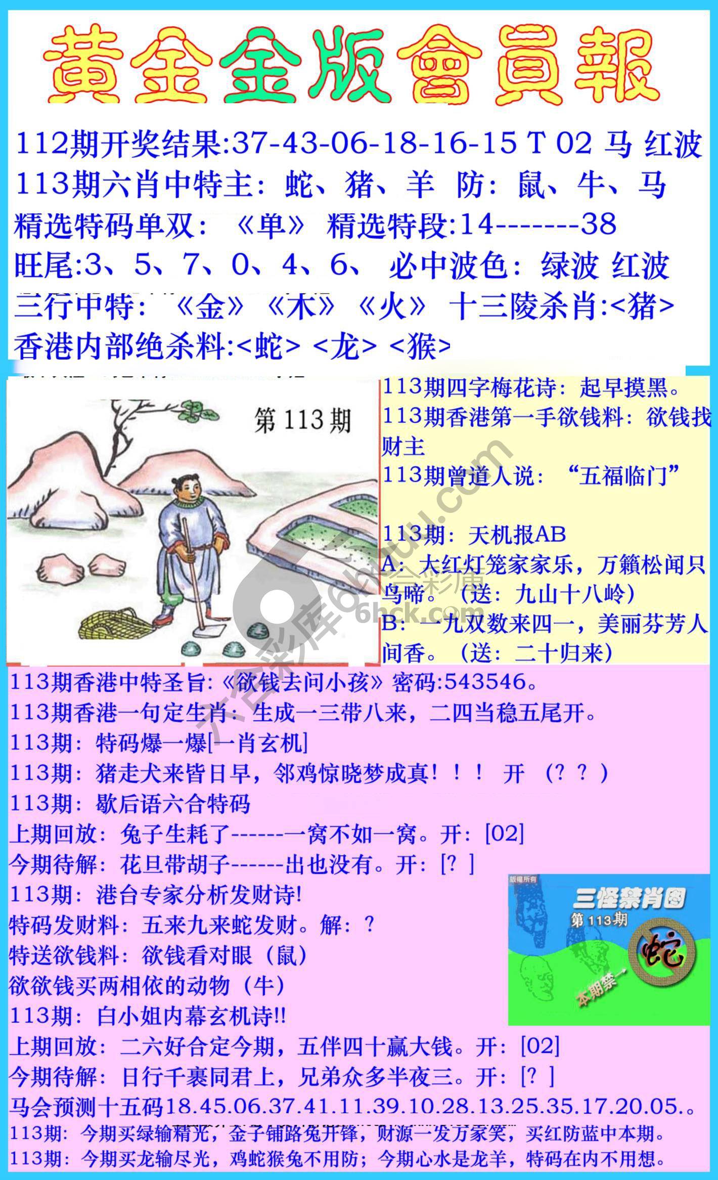 黄金金版会员报