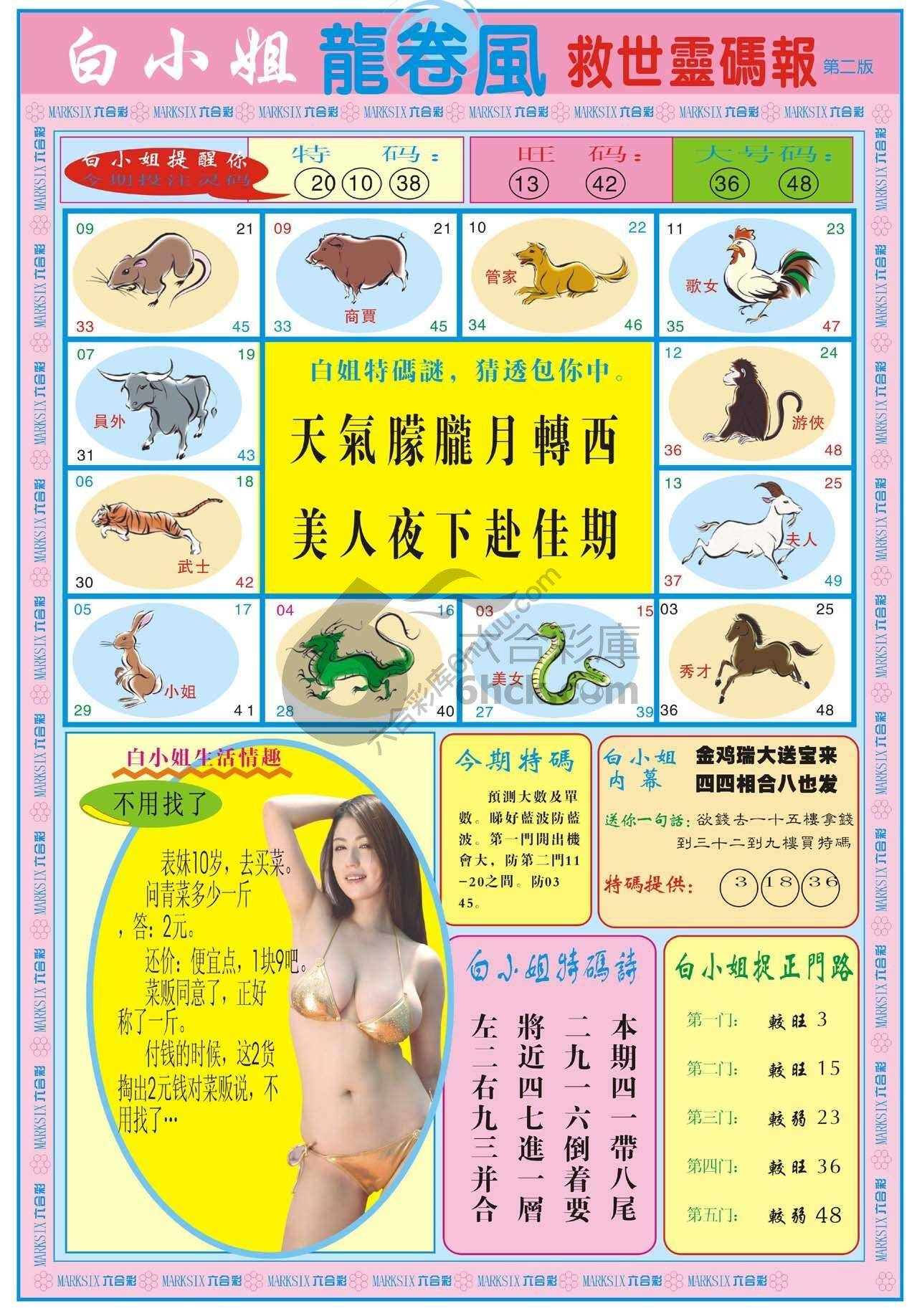 白小姐龙卷风
