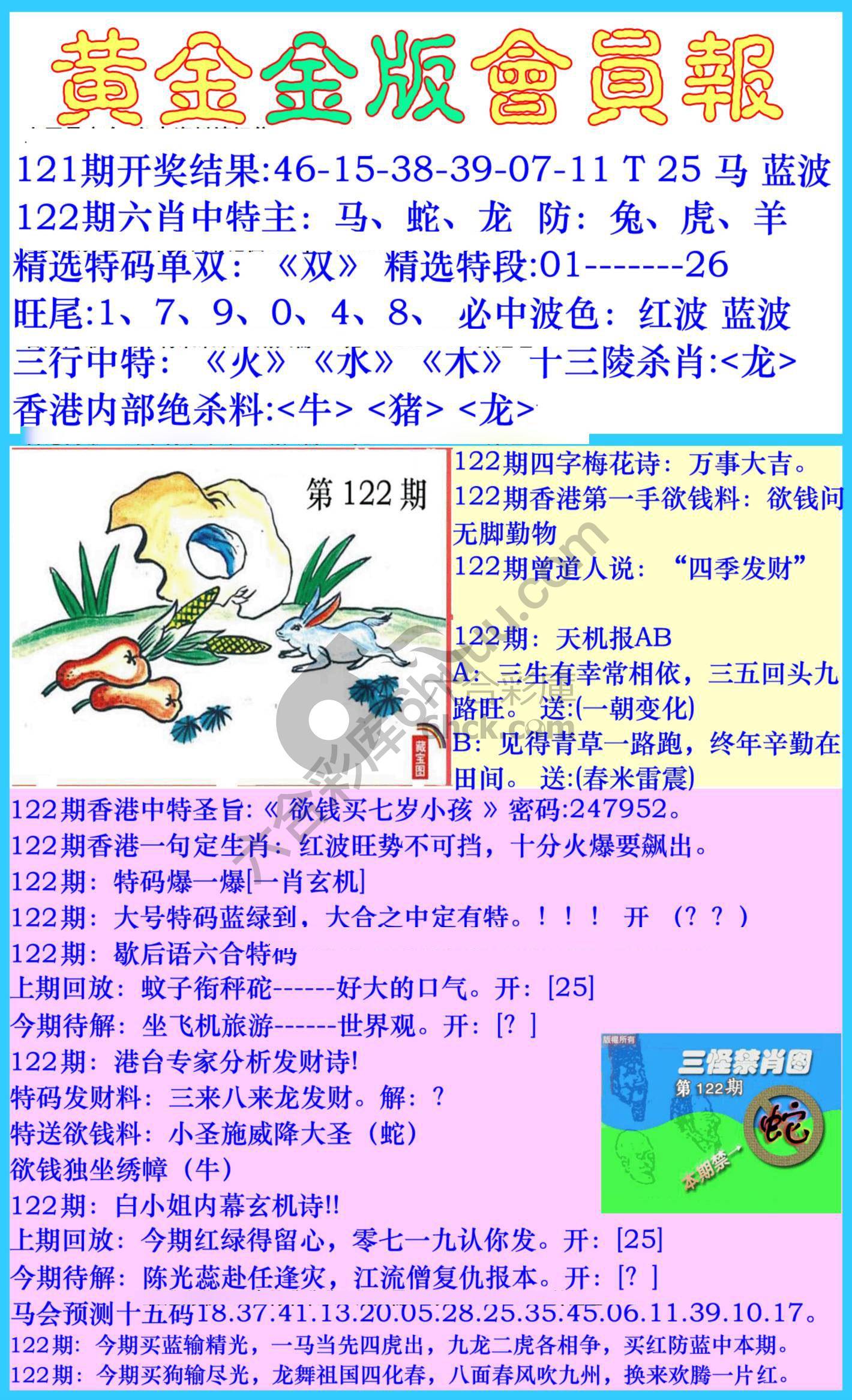 黄金金版会员报