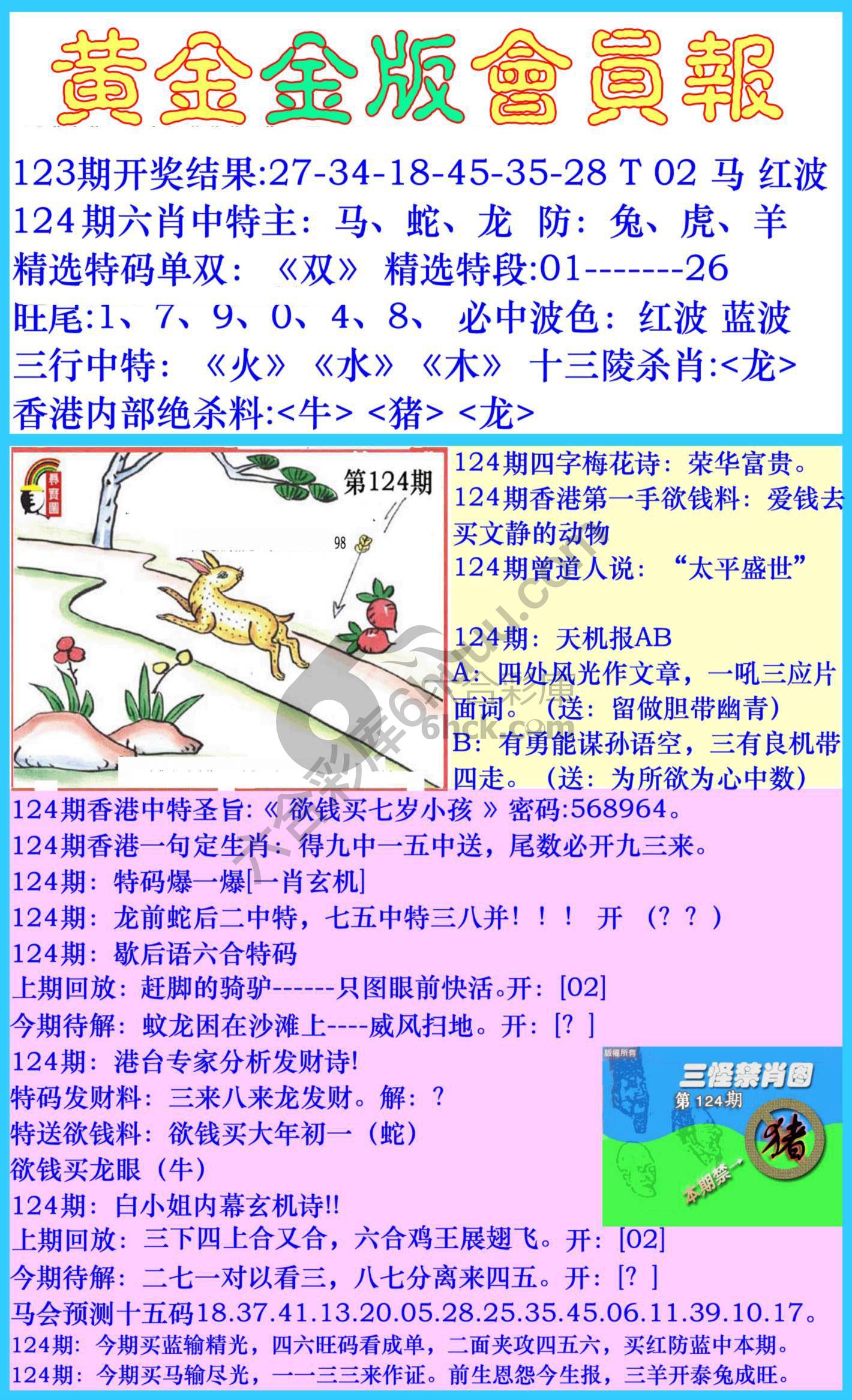 黄金金版会员报