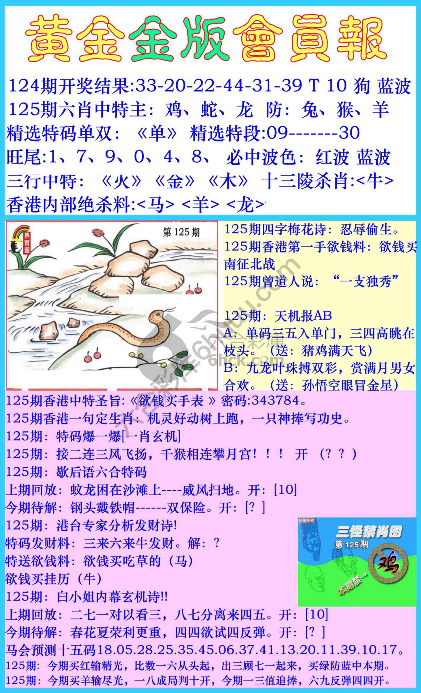 黄金金版会员报